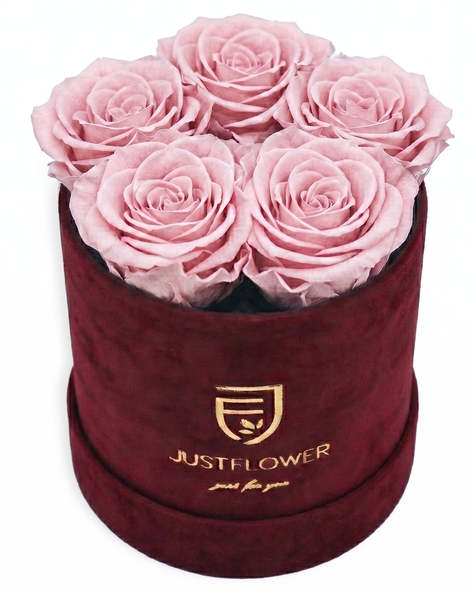 Rosenbox Rund Small Burgund Velvet (12x12 cm) mit hellrosa Infinity Rosen – sanfte und stilvolle Geschenkidee