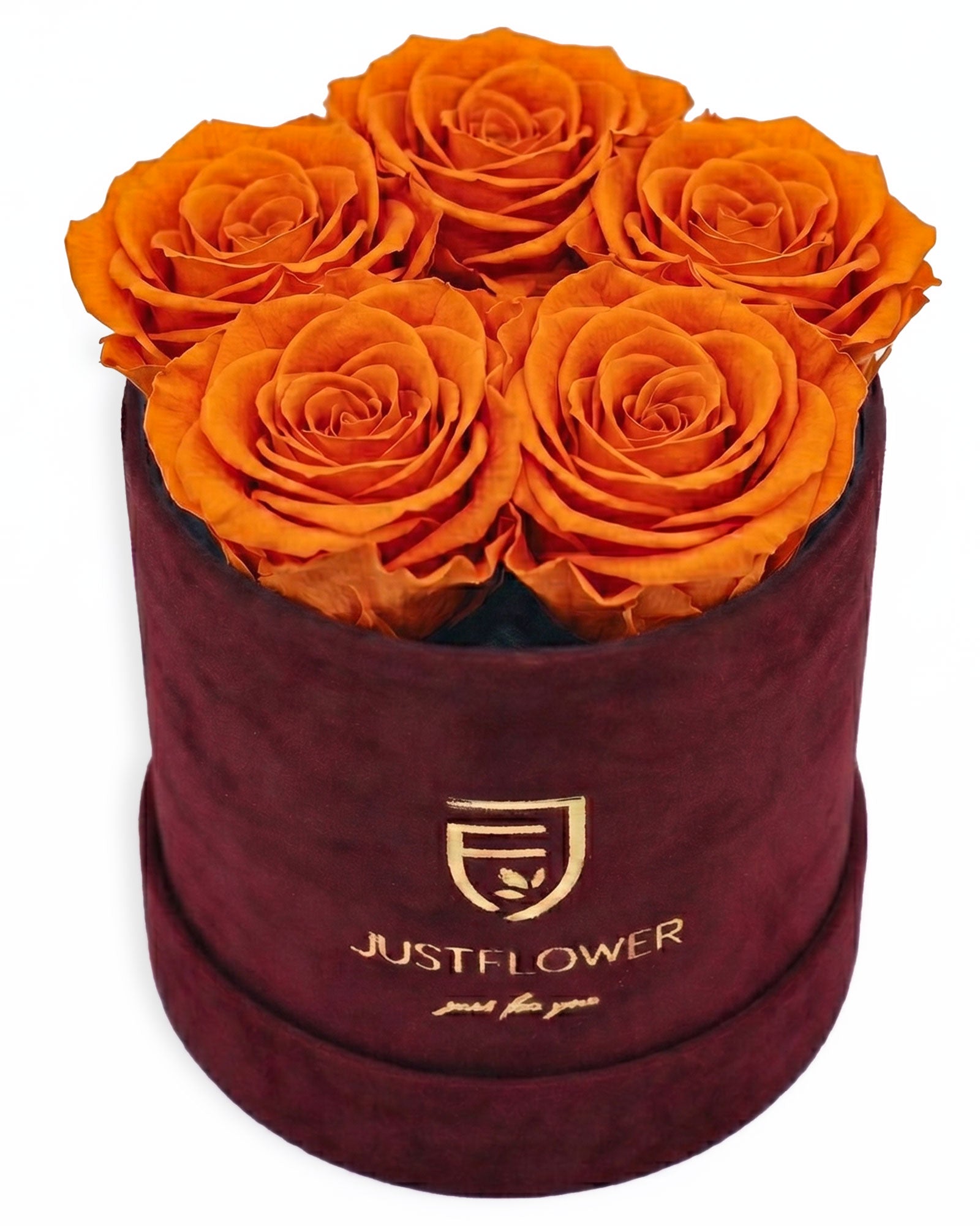 Rosenbox Rund Small Burgund Velvet (12x12 cm) mit orangefarbenen Infinity Rosen – lebendige und auffällige Rosenbox
