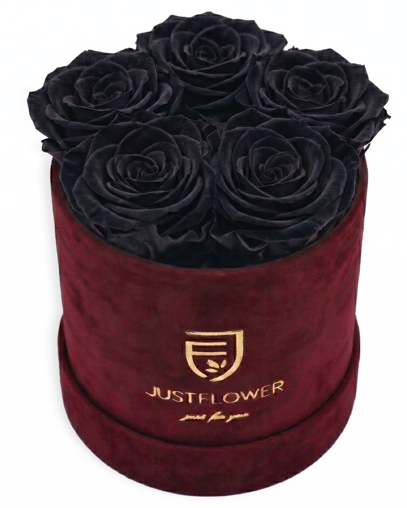 Rosenbox Rund Small Burgund Velvet (12x12 cm) mit schwarzen Infinity Rosen – edler Kontrast im modernen Design