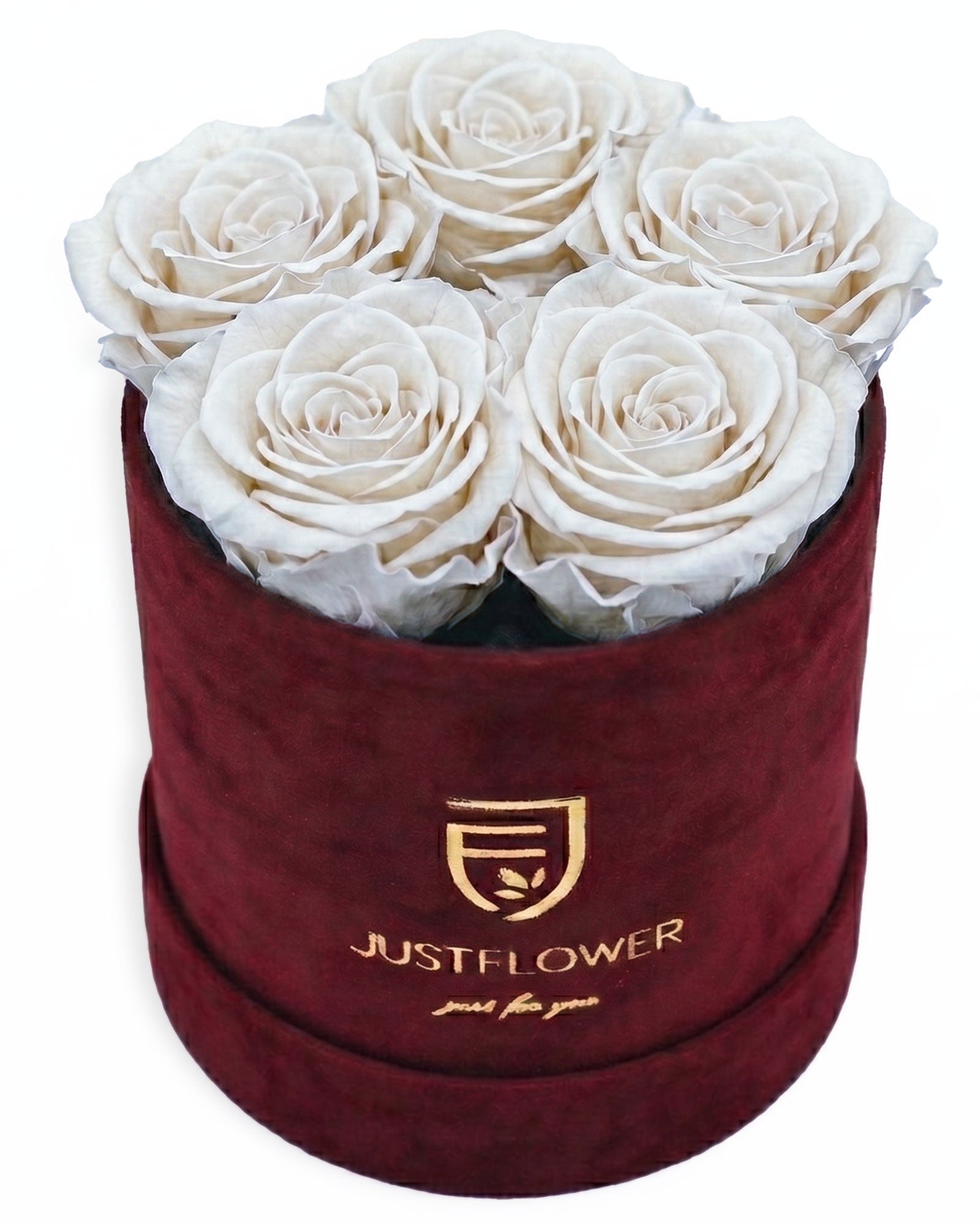 Rosenbox Rund Small Burgund Velvet (12x12 cm) mit weissen Infinity Rosen – elegante und zeitlose Rosenbox