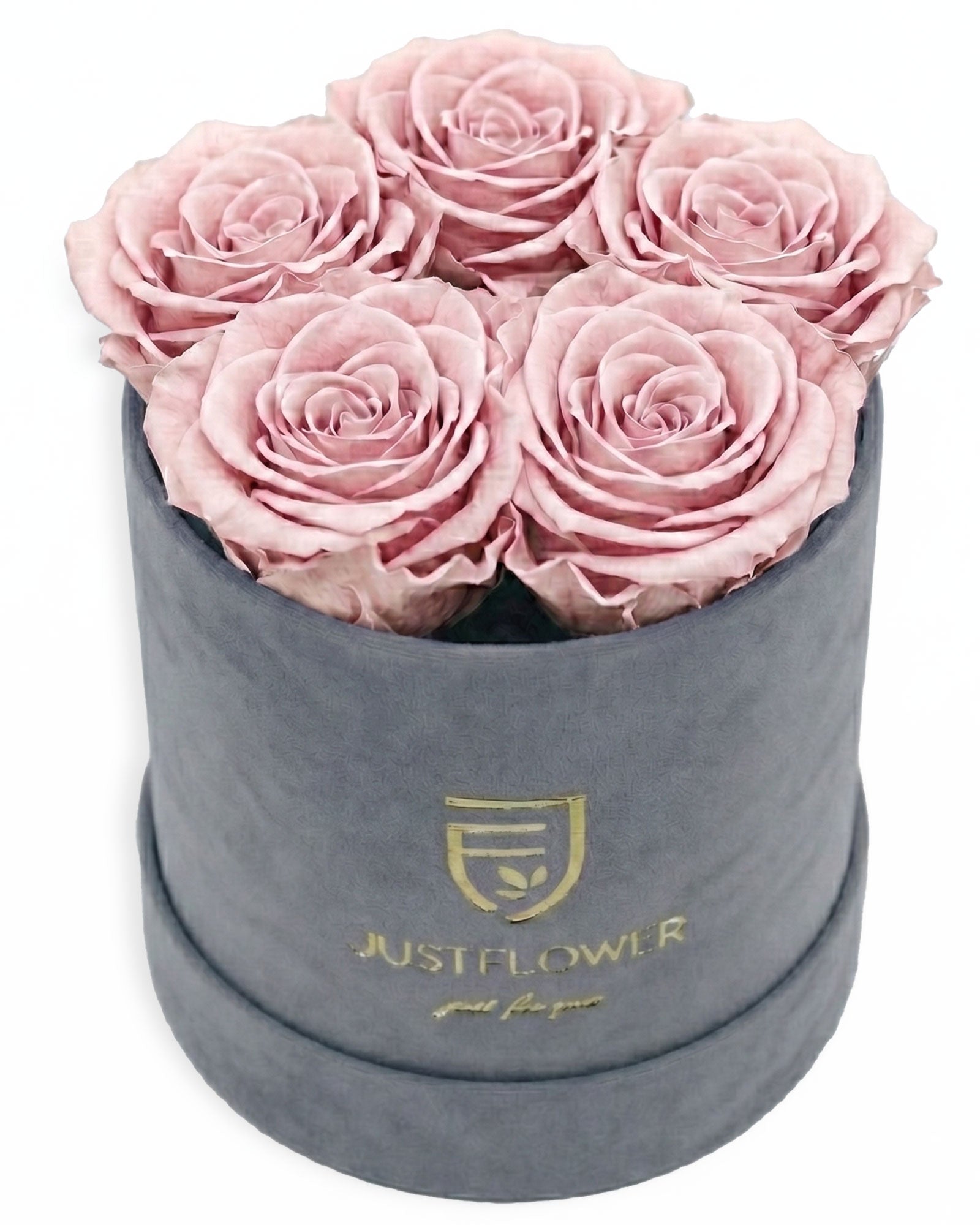 Rosenbox Rund Small Grau Velvet (12x12 cm) mit altrosa Infinity Rosen – moderne Rosenbox im eleganten Stil