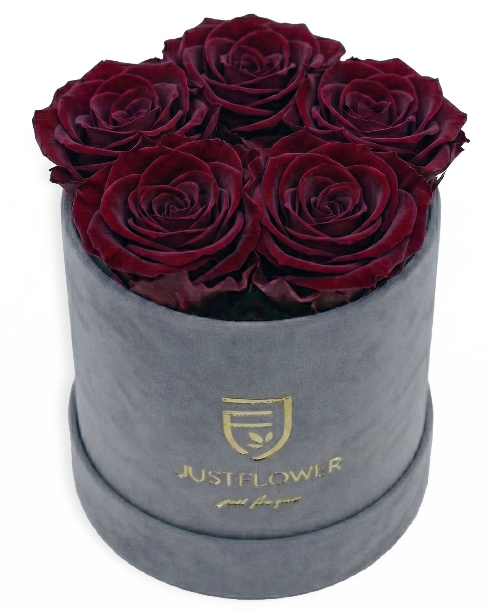 Rosenbox Rund Small Grau Velvet (12x12 cm) mit burgundfarbenen Infinity Rosen – edle und luxuriöse Geschenkbox