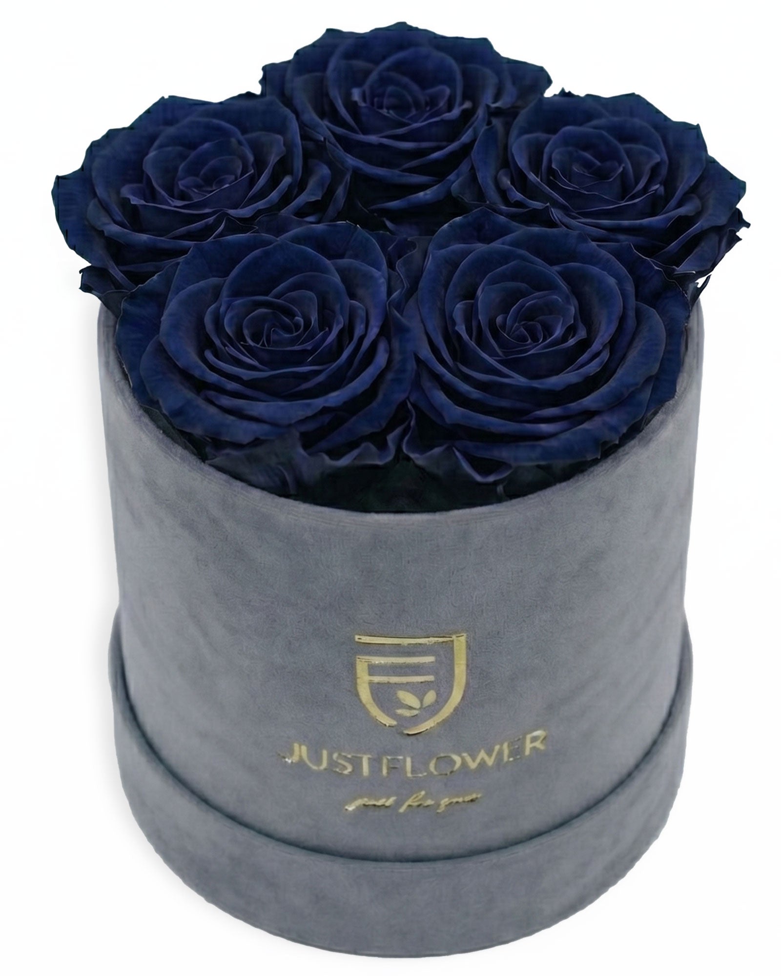 Rosenbox Rund Small Grau Velvet (12x12 cm) mit dunkelblauen Infinity Rosen – edles und kontrastreiches Design