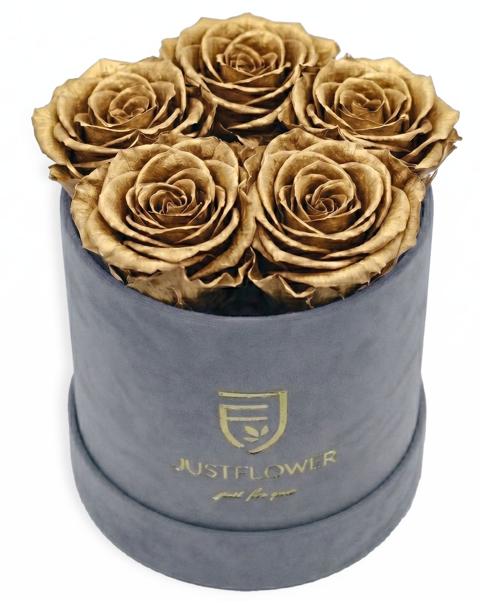 Rosenbox Rund Small Grau Velvet (12x12 cm) mit goldenen Infinity Rosen – luxuriöse Rosenbox für exklusive Geschenke