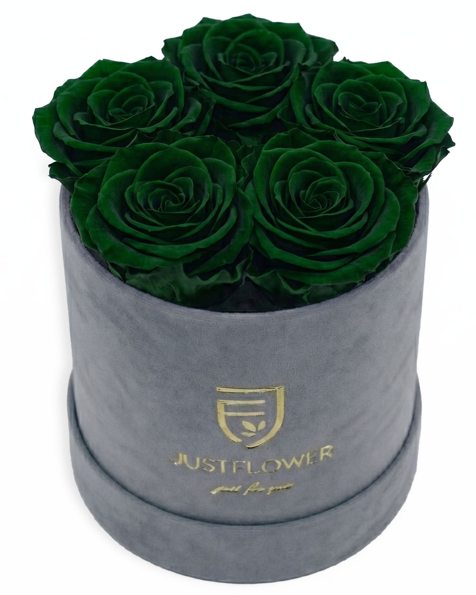 Rosenbox Rund Small Grau Velvet (12x12 cm) mit grünen Infinity Rosen – aussergewöhnliche und moderne Geschenkidee