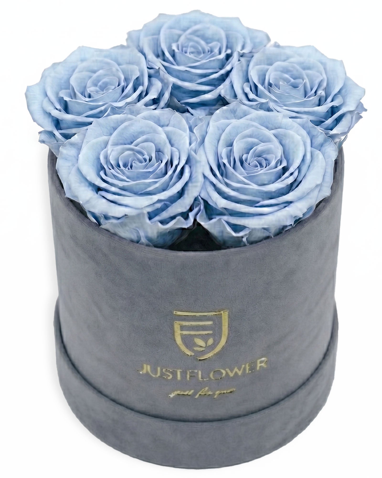 Rosenbox Rund Small Grau Velvet (12x12 cm) mit hellblauen Infinity Rosen – frische ve moderne Rosenbox