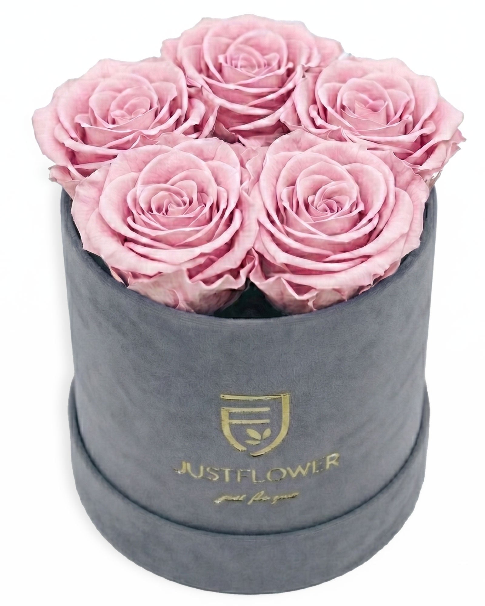 Rosenbox Rund Small Grau Velvet (12x12 cm) mit hellrosa Infinity Rosen – sanfte und elegante Geschenkidee
