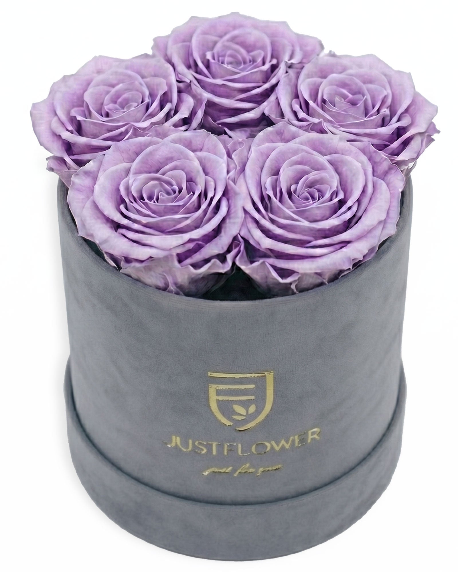 Rosenbox Rund Small Grau Velvet (12x12 cm) mit lila Infinity Rosen – auffällige und stilvolle Geschenkbox