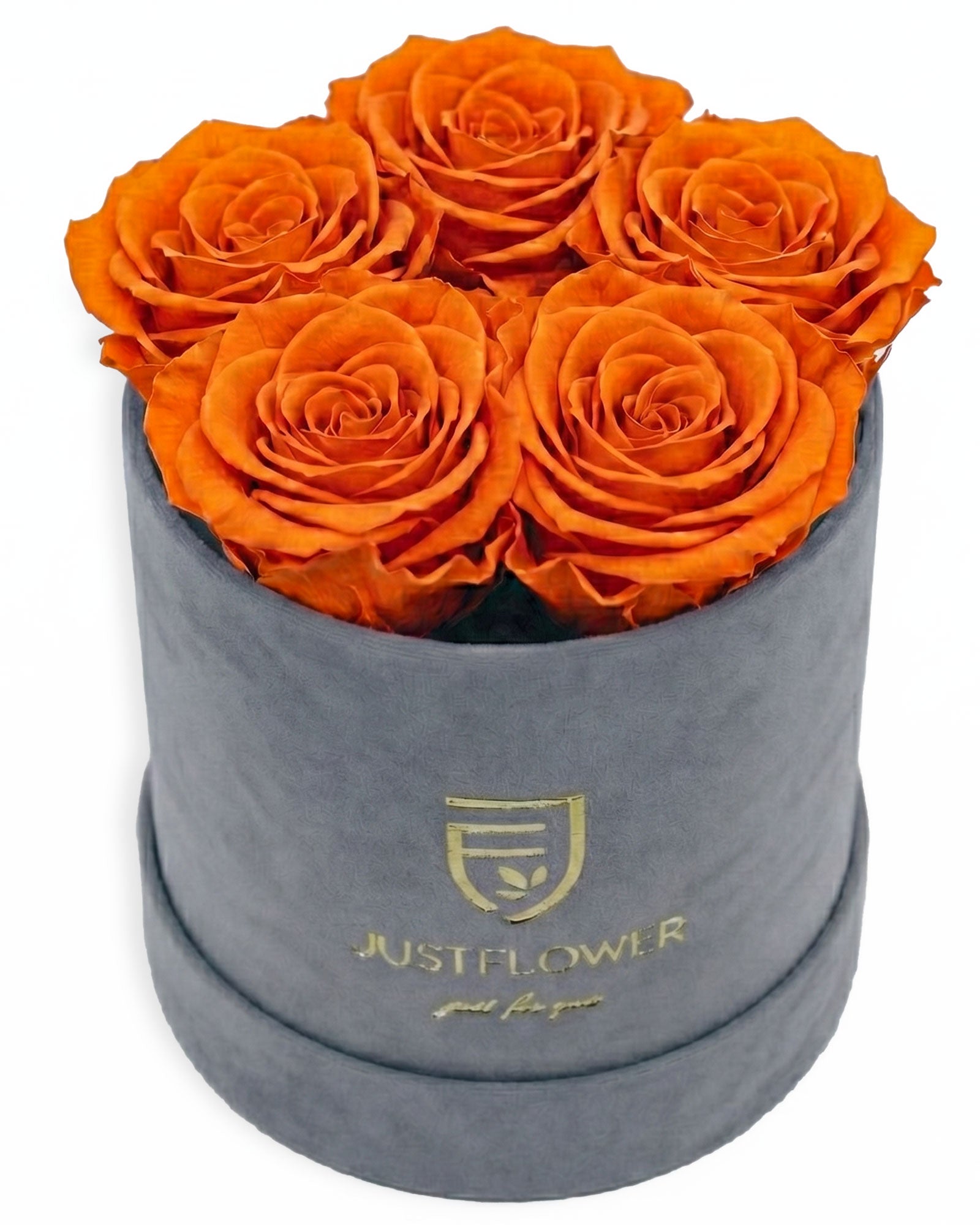 Rosenbox Rund Small Grau Velvet (12x12 cm) mit orangefarbenen Infinity Rosen – lebendige und auffällige Rosenbox