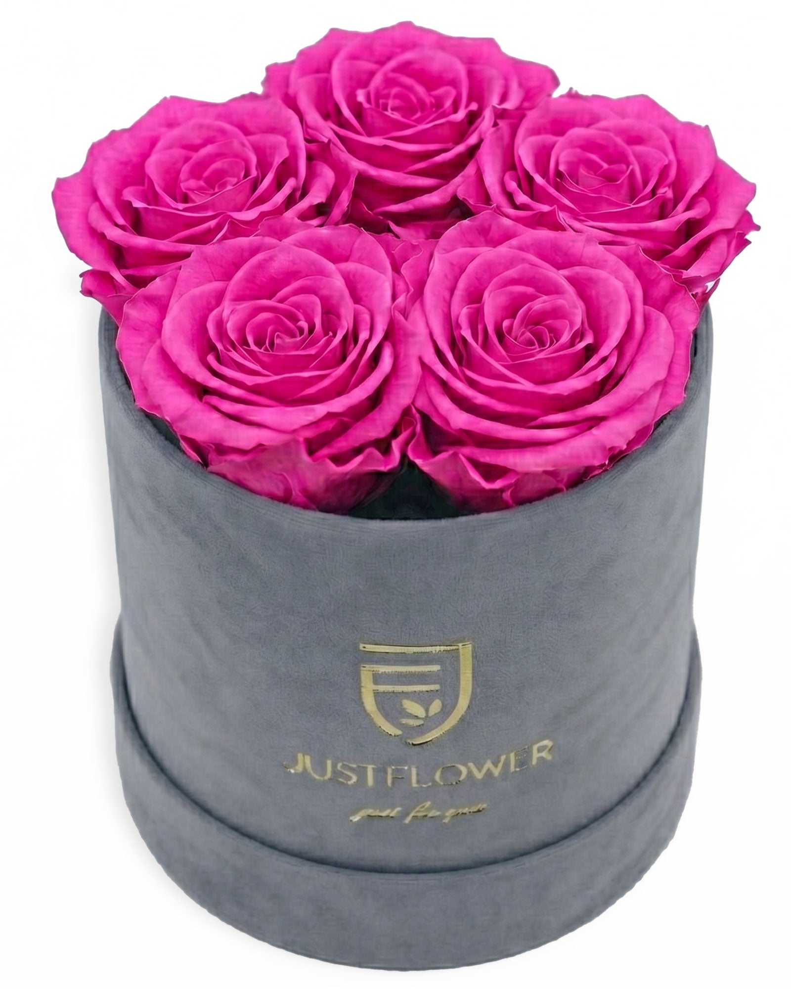Rosenbox Rund Small Grau Velvet (12x12 cm) mit rosa Infinity Rosen – harmonische und stilvolle Kombination