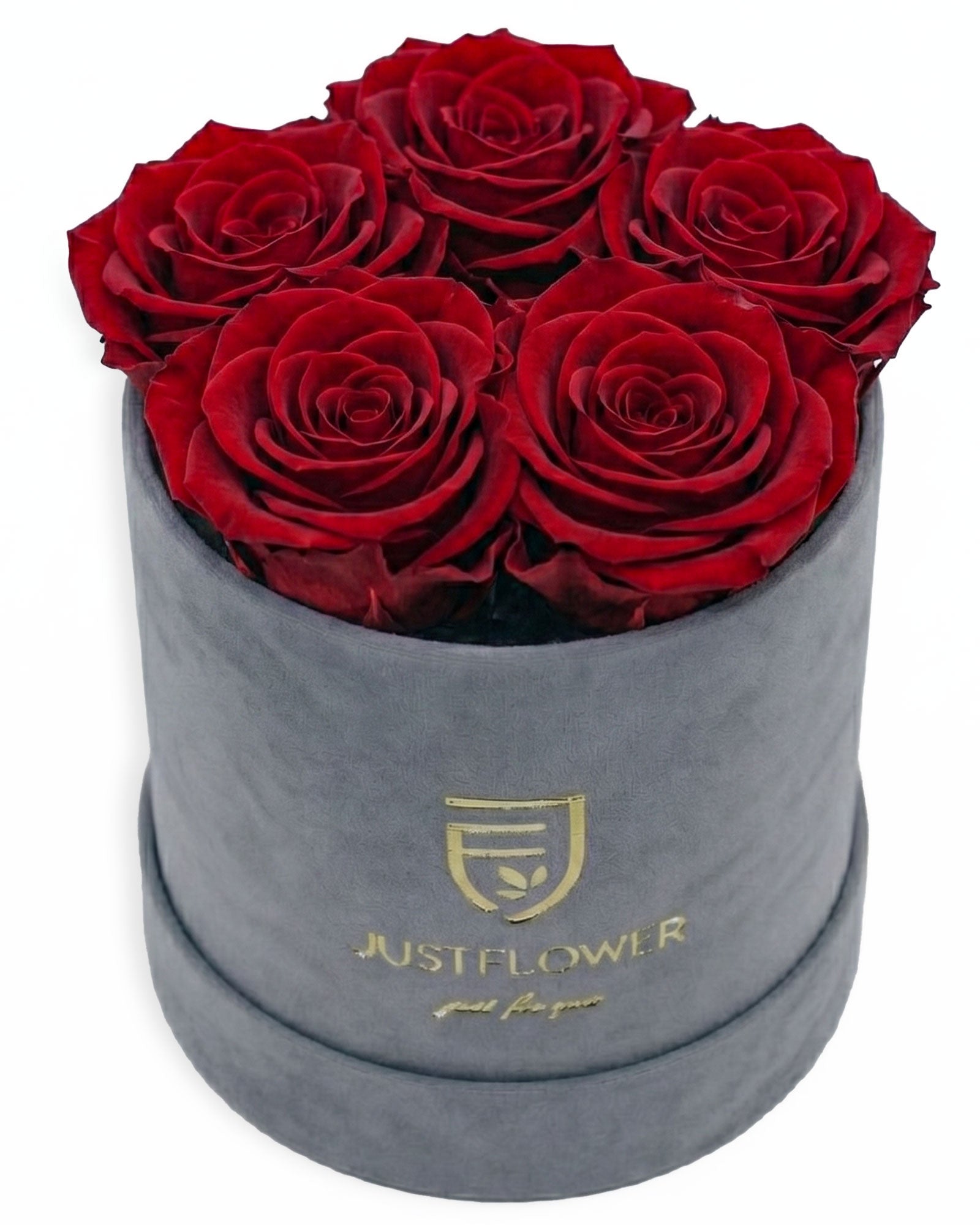 Rosenbox Rund Small Grau Velvet (12x12 cm) mit roten Infinity Rosen – stilvolle und kontrastreiche Geschenkidee