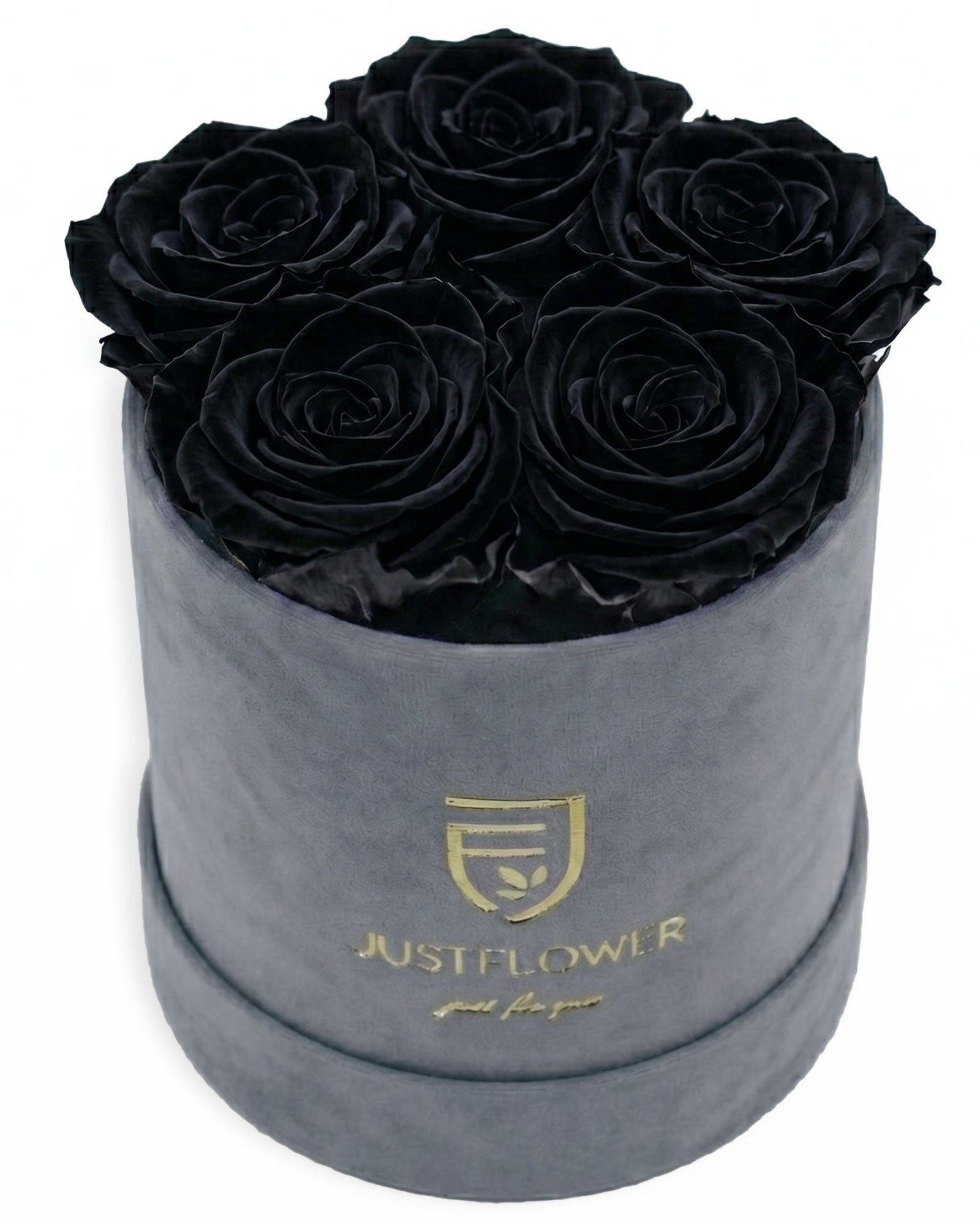 Rosenbox Rund Small Grau Velvet (12x12 cm) mit schwarzen Infinity Rosen – modernes und minimalistisches Design