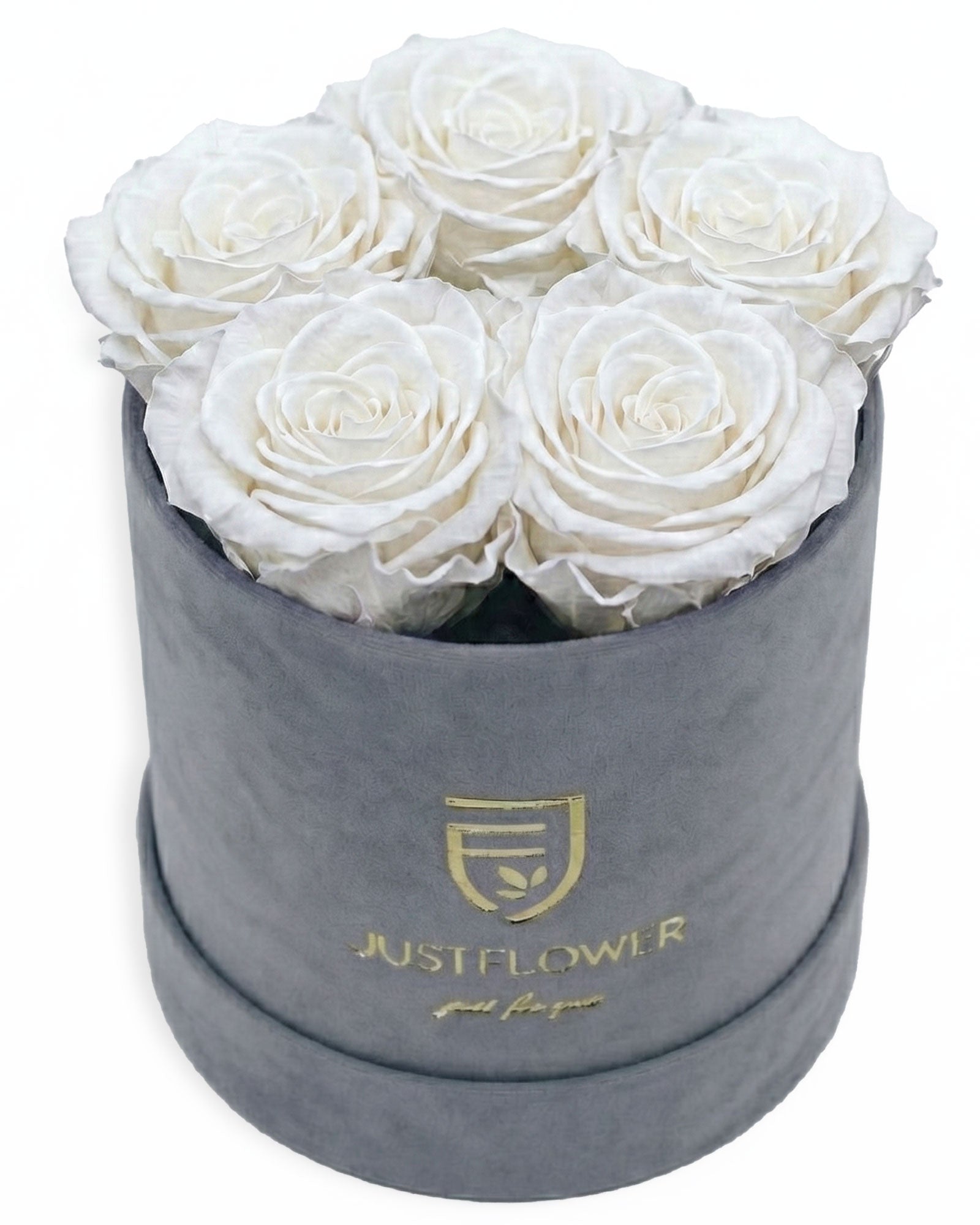 Rosenbox Rund Small Grau Velvet (12x12 cm) mit weissen Infinity Rosen – zeitlose und elegante Rosenbox