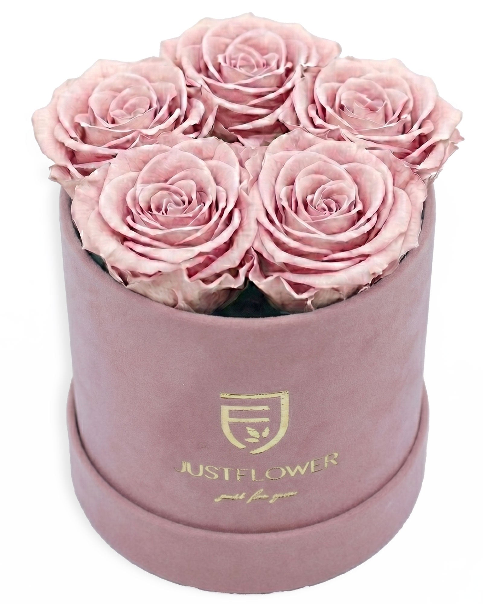 Rosenbox Rund Small Hellrosa Velvet (12x12 cm) mit altrosa Infinity Rosen – moderne Rosenbox im Vintage Stil
