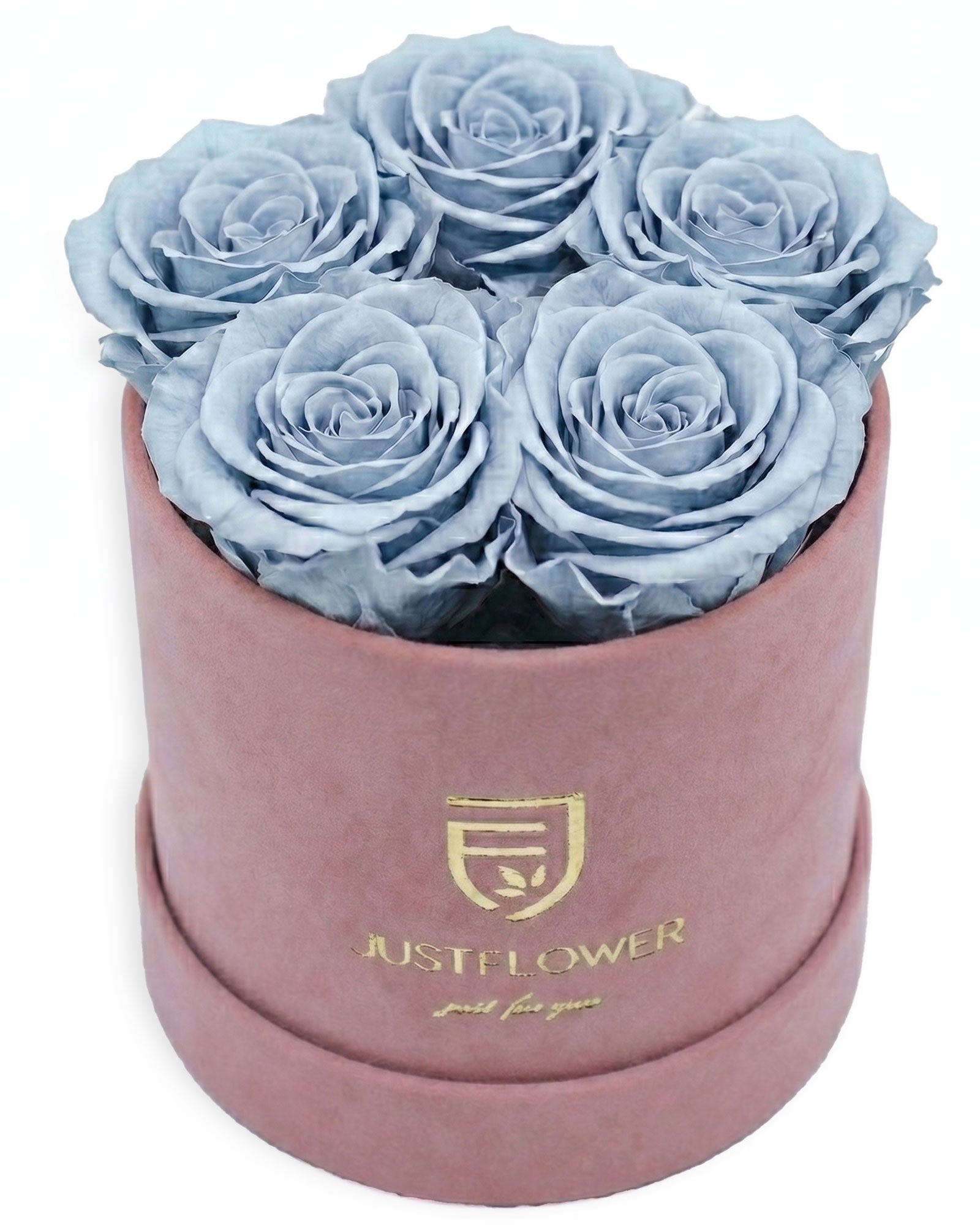 Rosenbox Rund Small Hellrosa Velvet (12x12 cm) mit hellblauen Infinity Rosen – frische und kreative Rosenbox