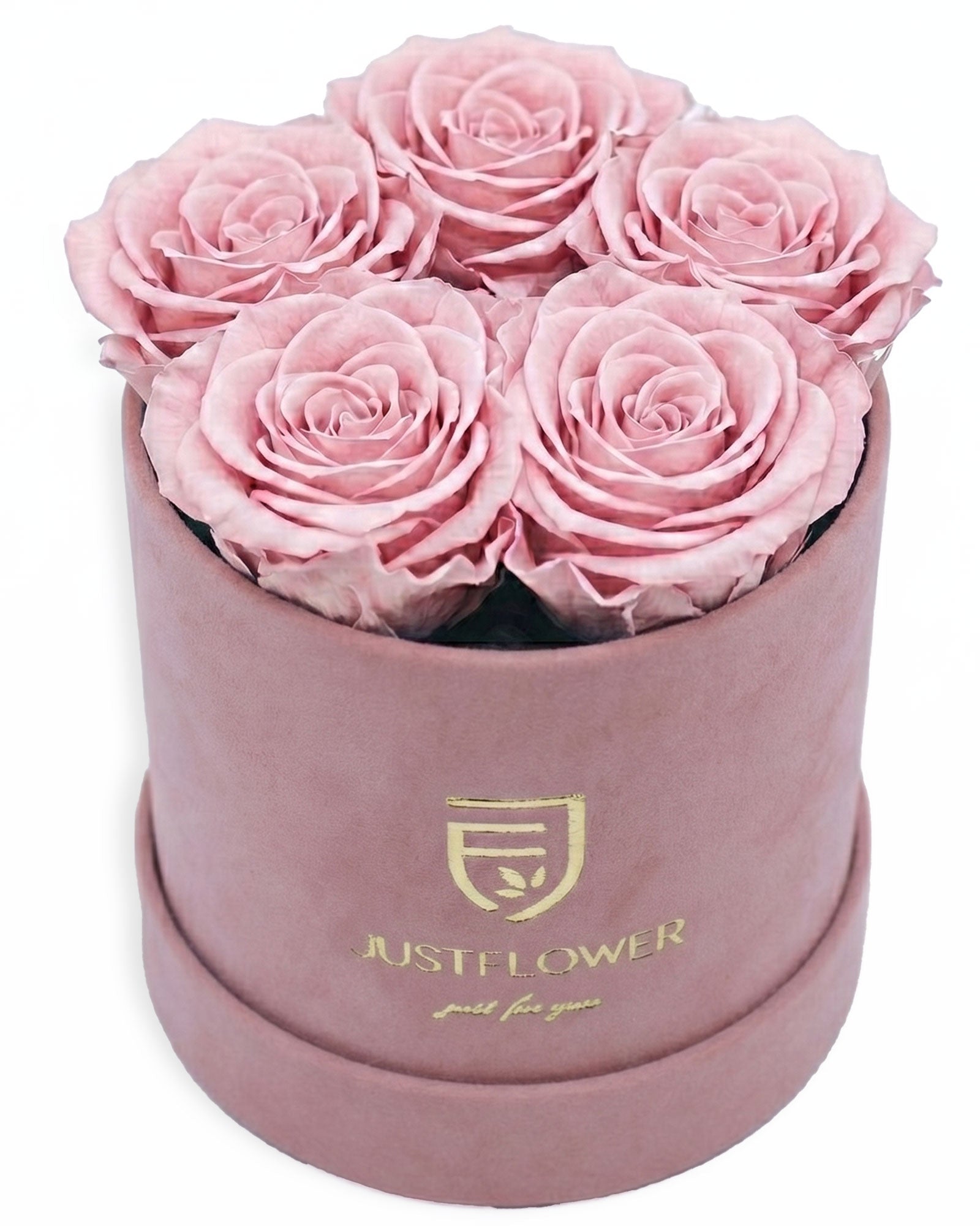 Rosenbox Rund Small in Hellrosa Velvet (12x12 cm) mit ca. 5–6 Infinity Rosen in Hellrosa – elegante Geschenkbox von JustFlower Schweiz