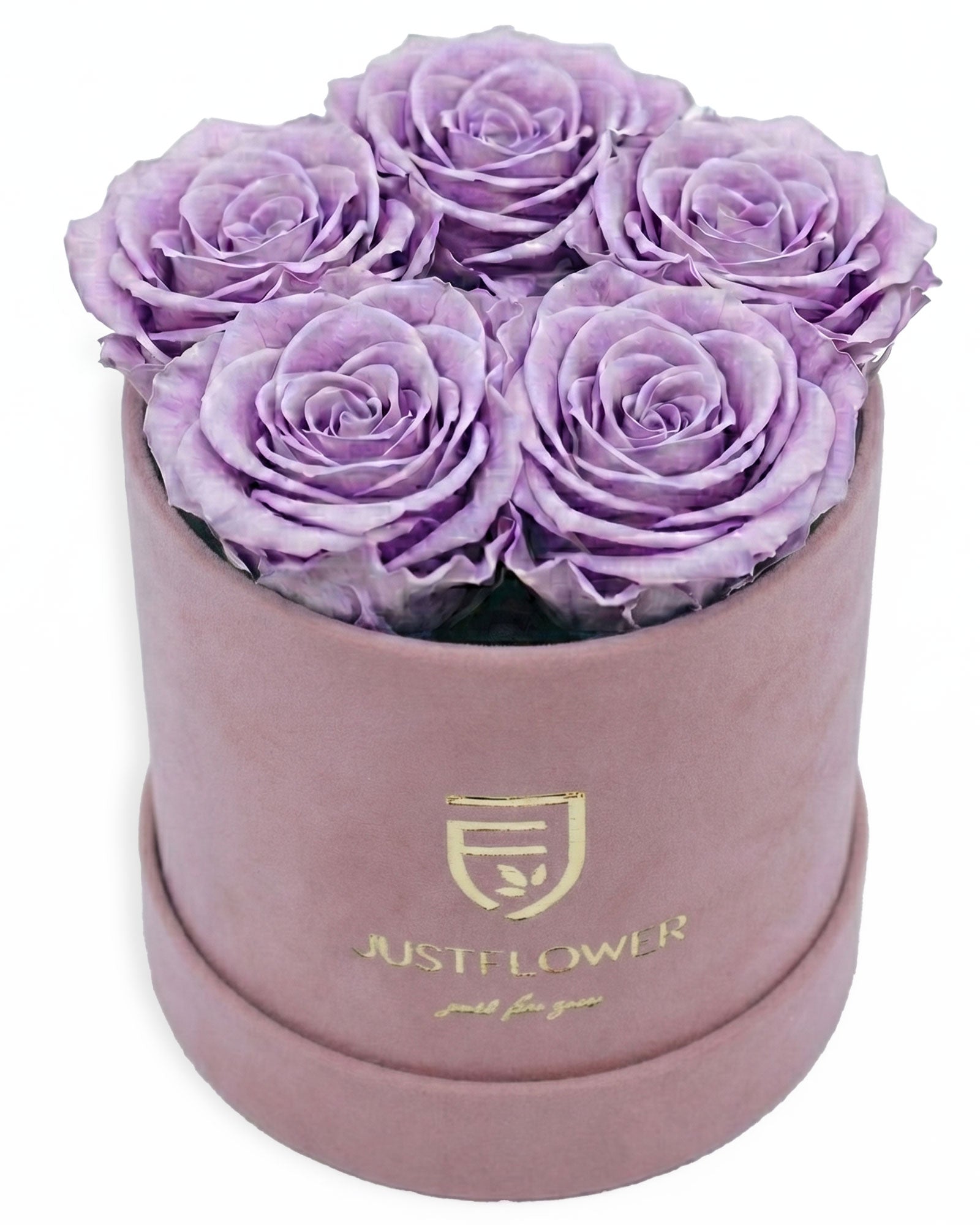 Rosenbox Rund Small Hellrosa Velvet (12x12 cm) mit lila Infinity Rosen – auffällige und stilvolle Geschenkbox