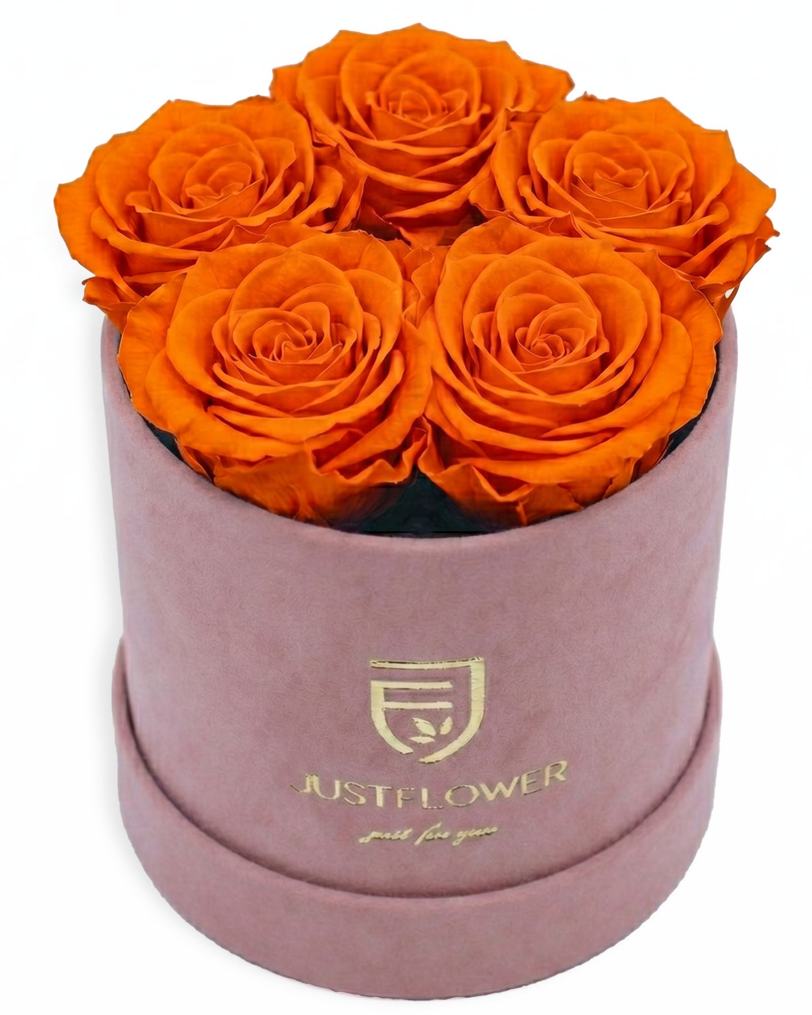 Rosenbox Rund Small Hellrosa Velvet (12x12 cm) mit orangefarbenen Infinity Rosen – lebendige und auffällige Rosenbox