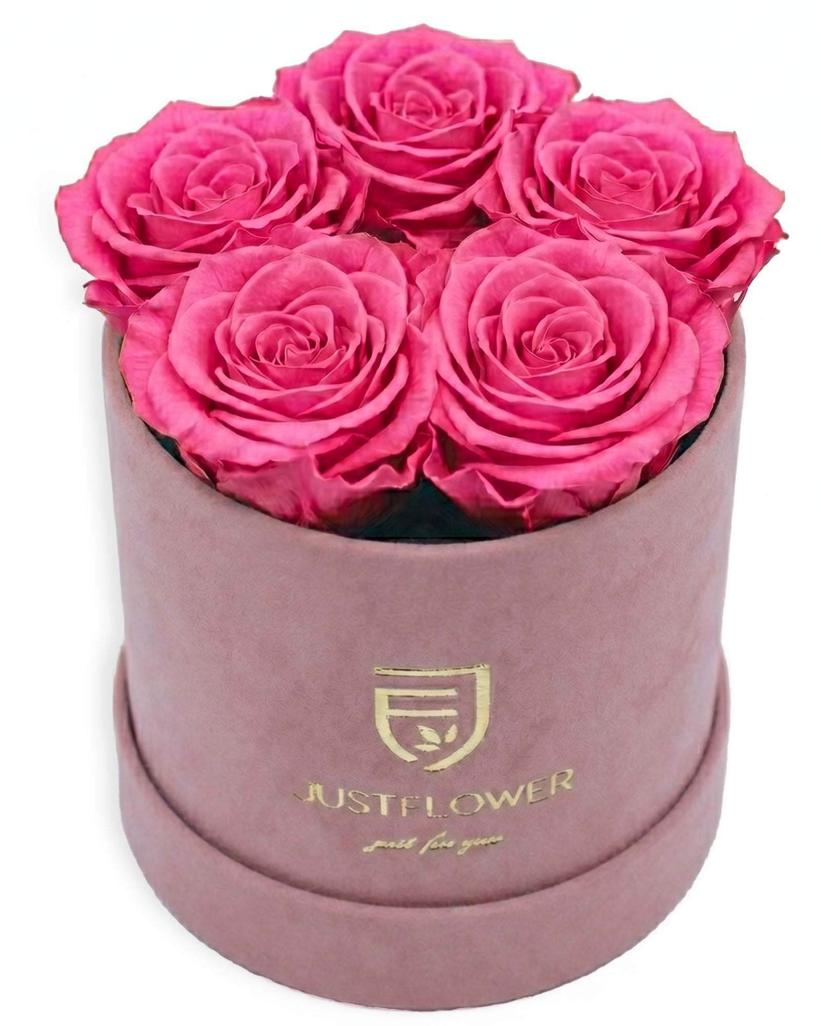 Rosenbox Rund Small Hellrosa Velvet (12x12 cm) mit rosa Infinity Rosen – harmonische und feminine Kombination