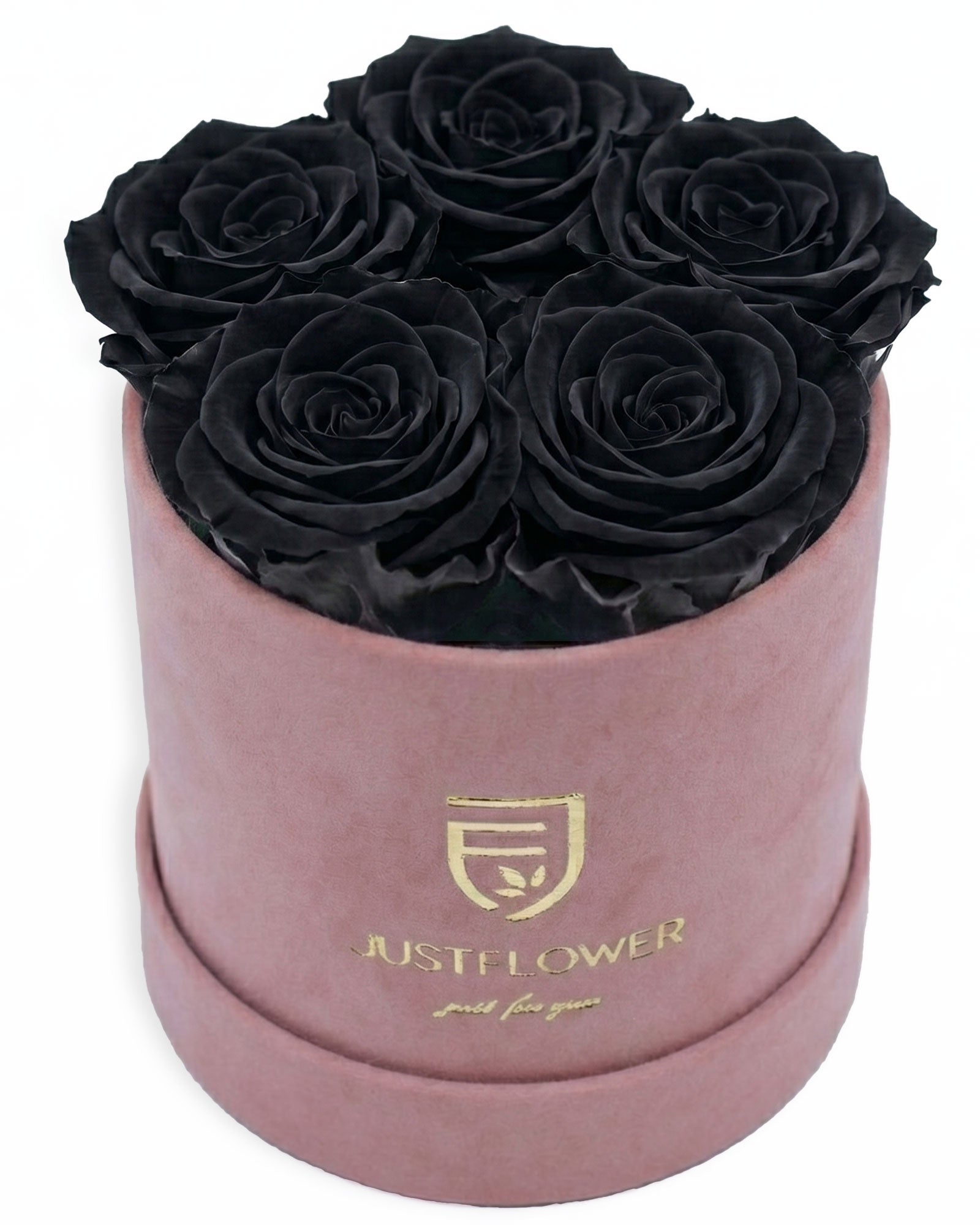 Rosenbox Rund Small Hellrosa Velvet (12x12 cm) mit schwarzen Infinity Rosen – moderner Kontrast im eleganten Design
