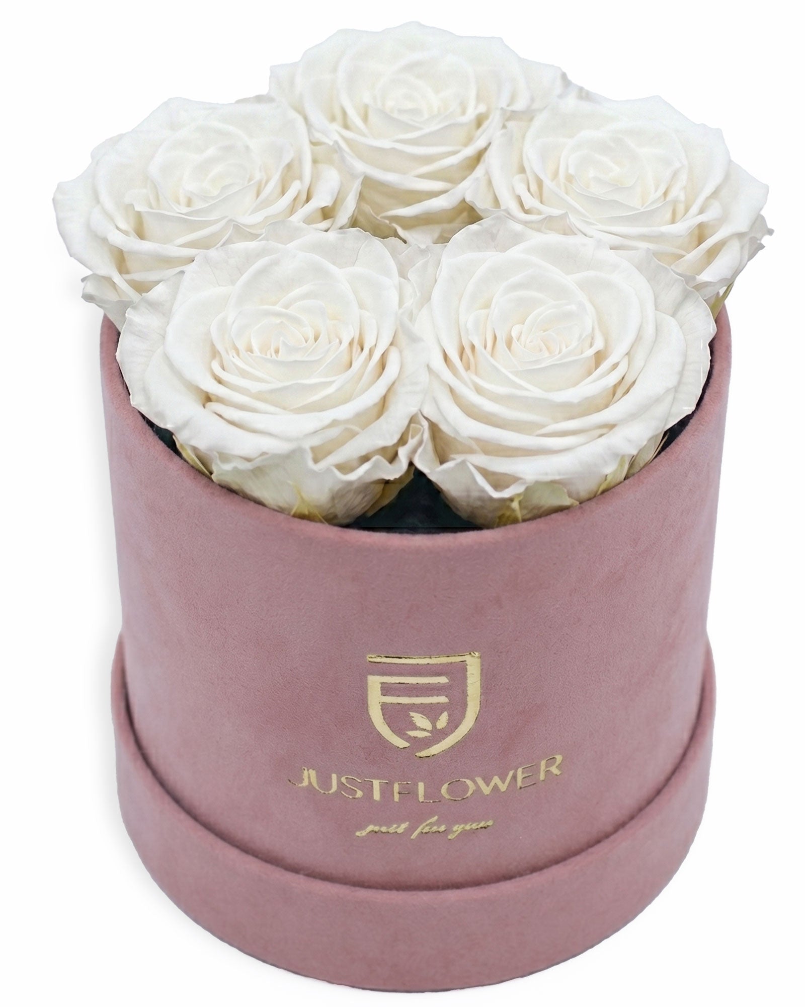 Rosenbox Rund Small Hellrosa Velvet (12x12 cm) mit weissen Infinity Rosen – stilvolle und sanfte Rosenbox