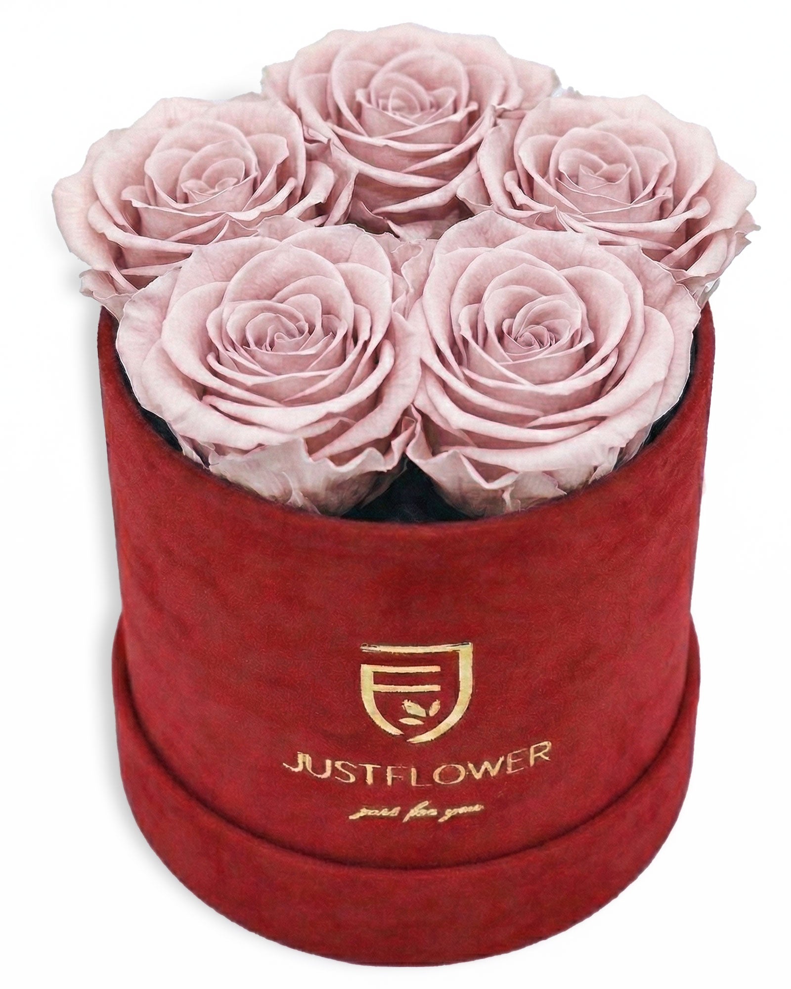Rosenbox Rund Small Rot Velvet (12x12 cm) mit altrosa Infinity Rosen – moderne Rosenbox im eleganten Stil