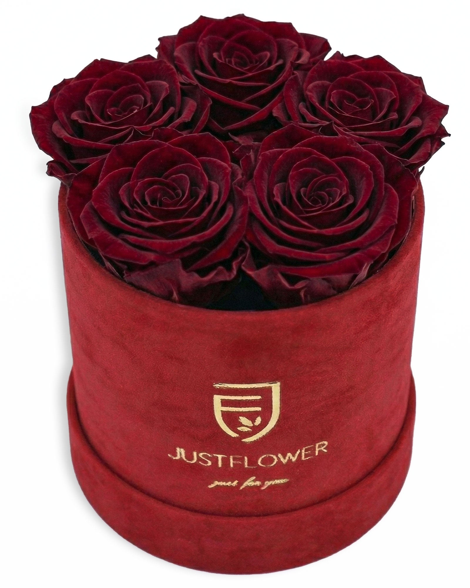Rosenbox Rund Small Rot Velvet (12x12 cm) mit burgundfarbenen Infinity Rosen – edle und luxuriöse Geschenkbox
