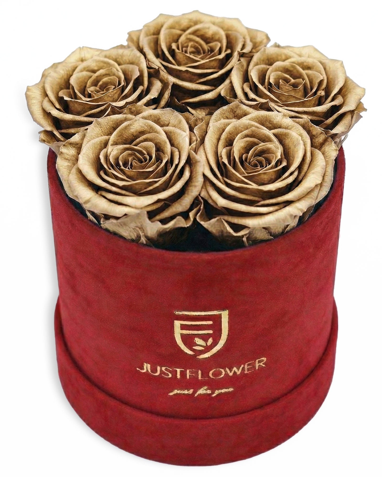 Rosenbox Rund Small Rot Velvet (12x12 cm) mit goldenen Infinity Rosen – luxuriöse Rosenbox für exklusive Geschenke