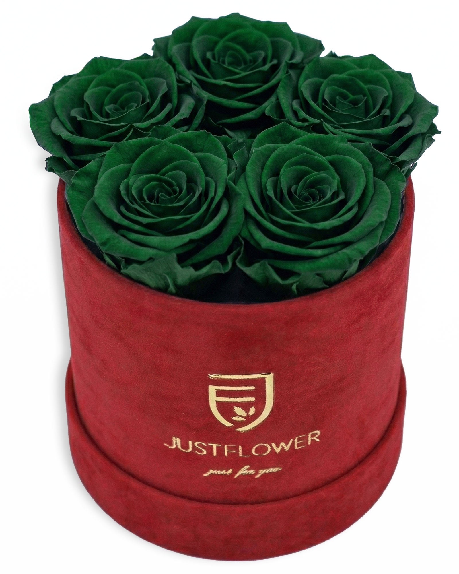 Rosenbox Rund Small Rot Velvet (12x12 cm) mit grünen Infinity Rosen – aussergewöhnliche und moderne Geschenkidee