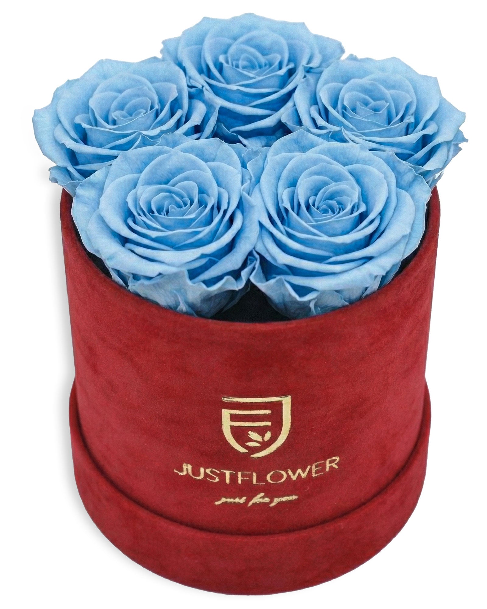 Rosenbox Rund Small Rot Velvet (12x12 cm) mit hellblauen Infinity Rosen – frische und kreative Rosenbox