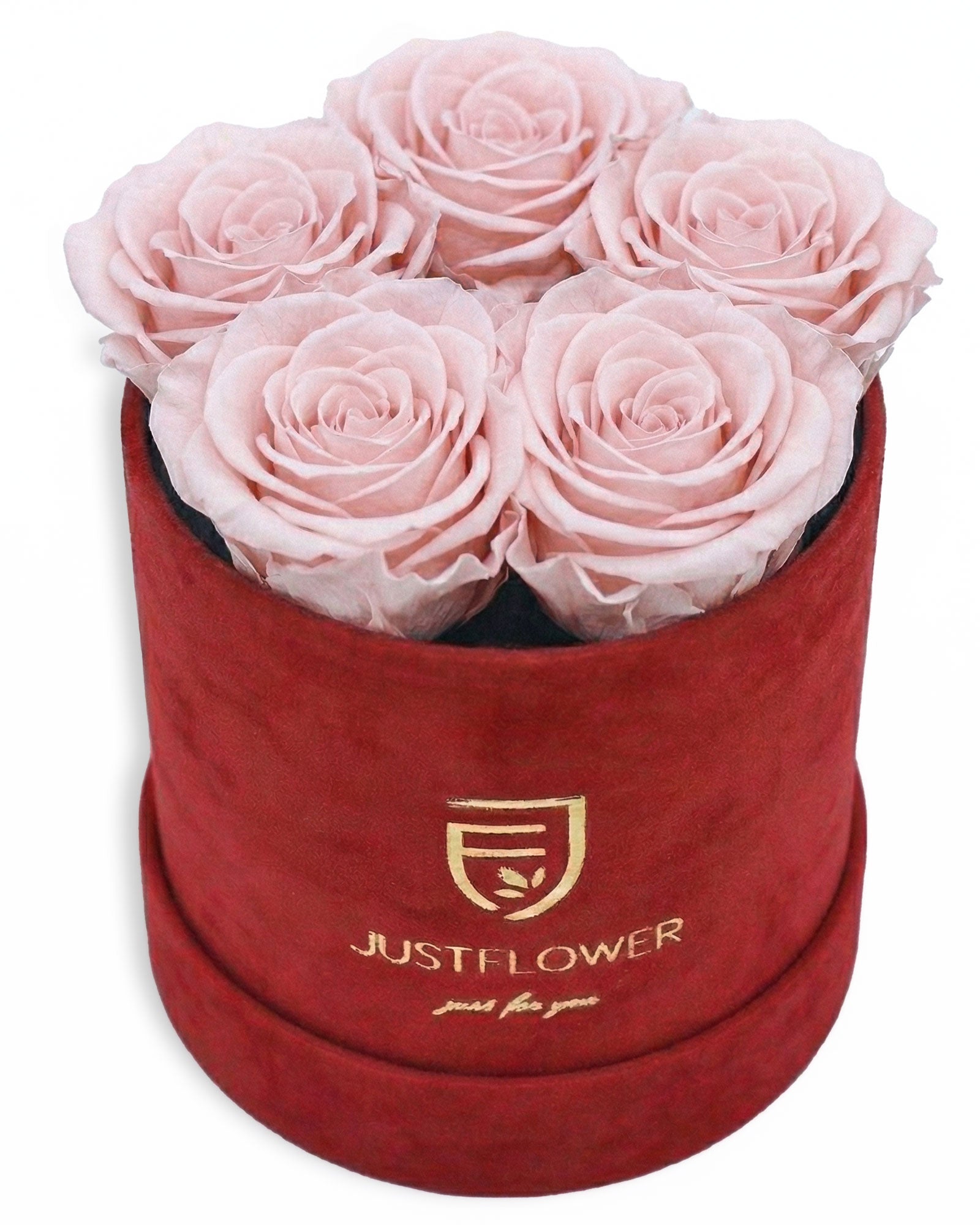 Rosenbox Rund Small Rot Velvet (12x12 cm) mit hellrosa Infinity Rosen – sanfte und romantische Geschenkidee