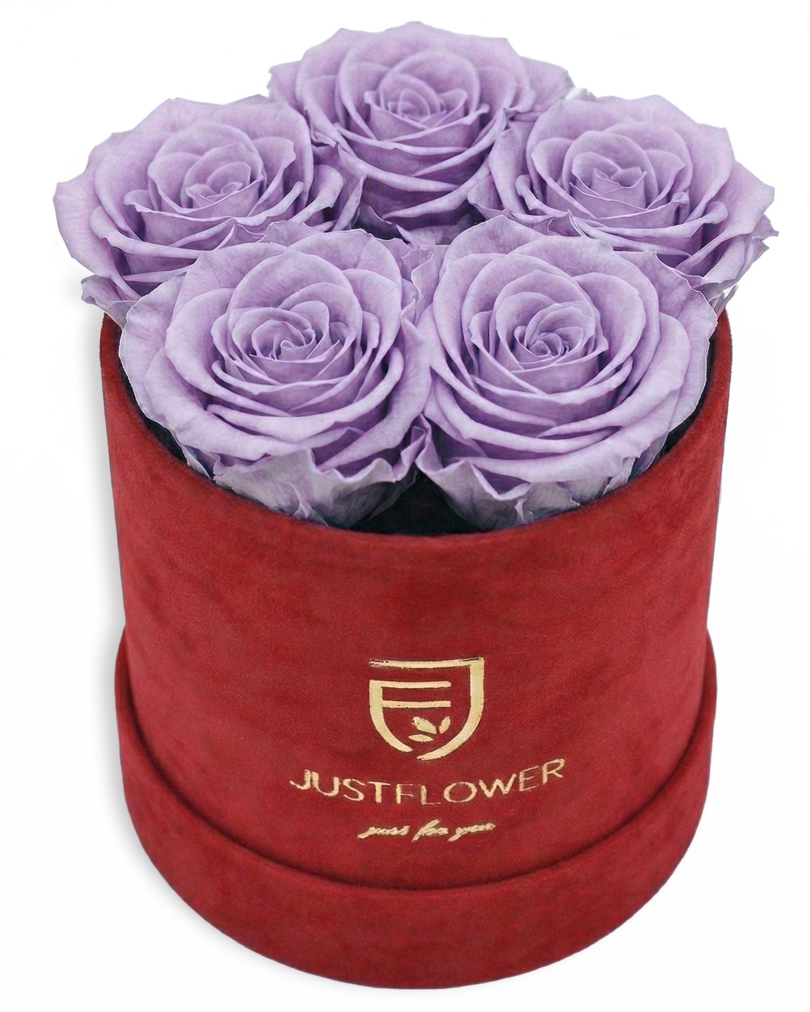 Rosenbox Rund Small Rot Velvet (12x12 cm) mit lila Infinity Rosen – auffällige und stilvolle Geschenkbox