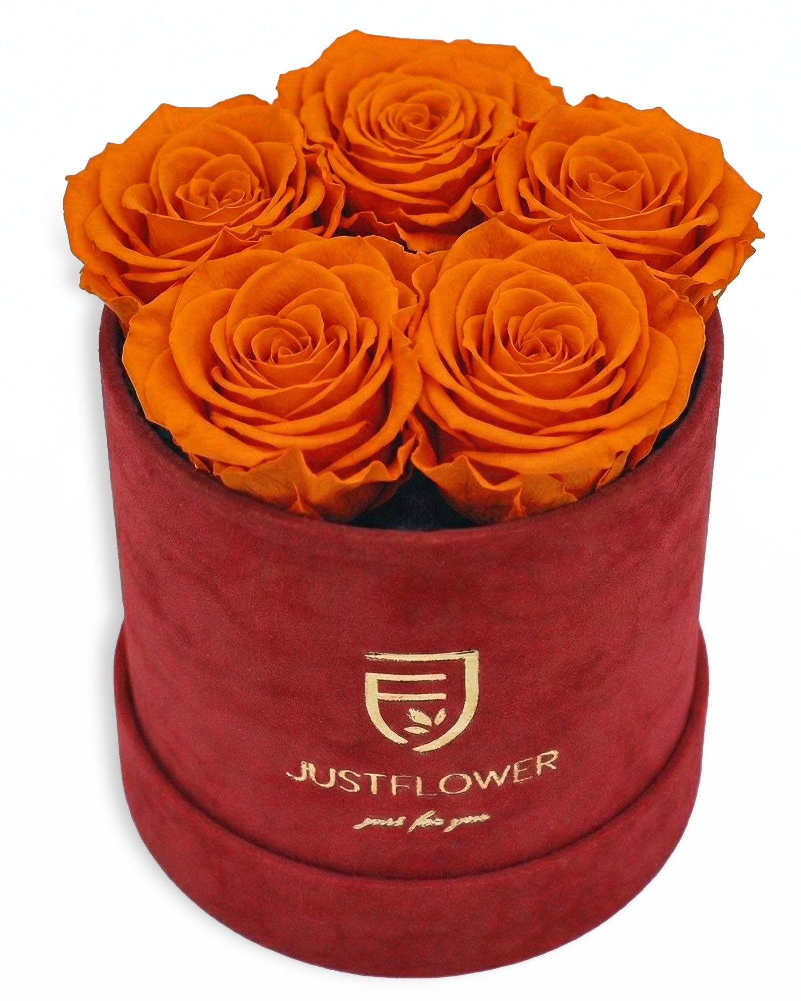 Rosenbox Rund Small Rot Velvet (12x12 cm) mit orangefarbenen Infinity Rosen – lebendige und auffällige Rosenbox