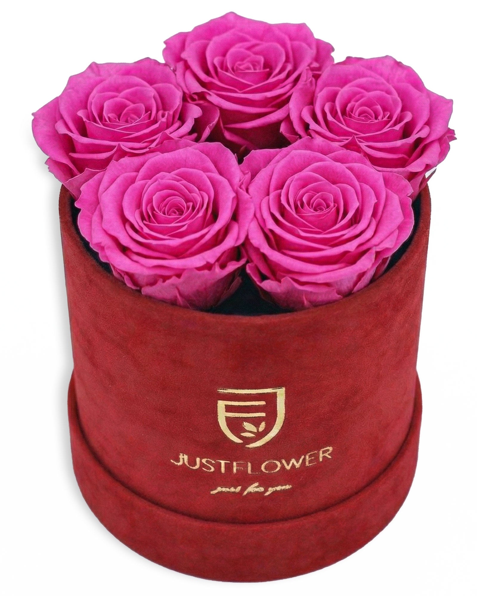 Rosenbox Rund Small Rot Velvet (12x12 cm) mit rosa Infinity Rosen – harmonische und stilvolle Kombination