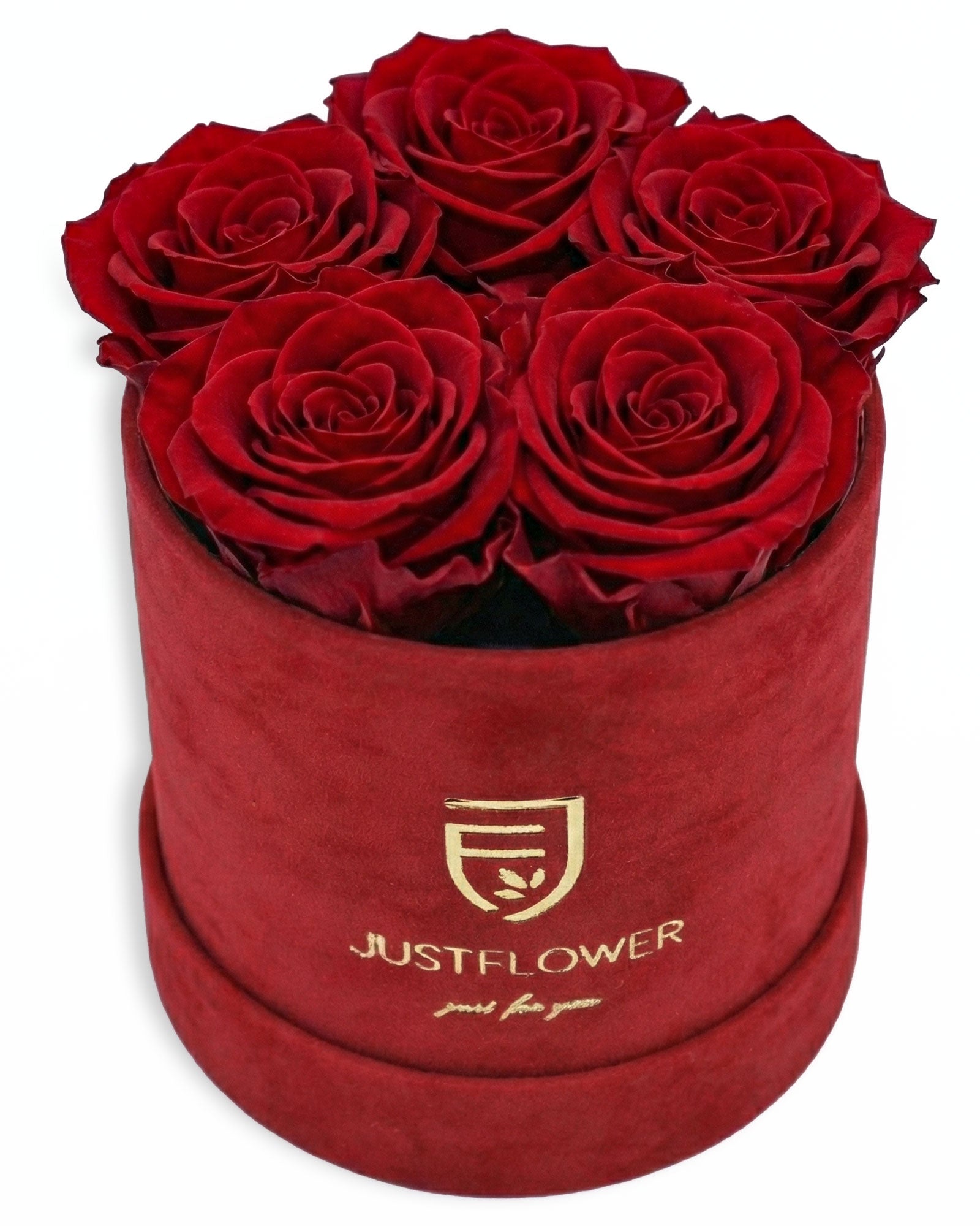 Rosenbox Rund Small in Rot Velvet (12x12 cm) mit ca. 5–6 roten Infinity Rosen – romantische Geschenkidee von JustFlower Schweiz