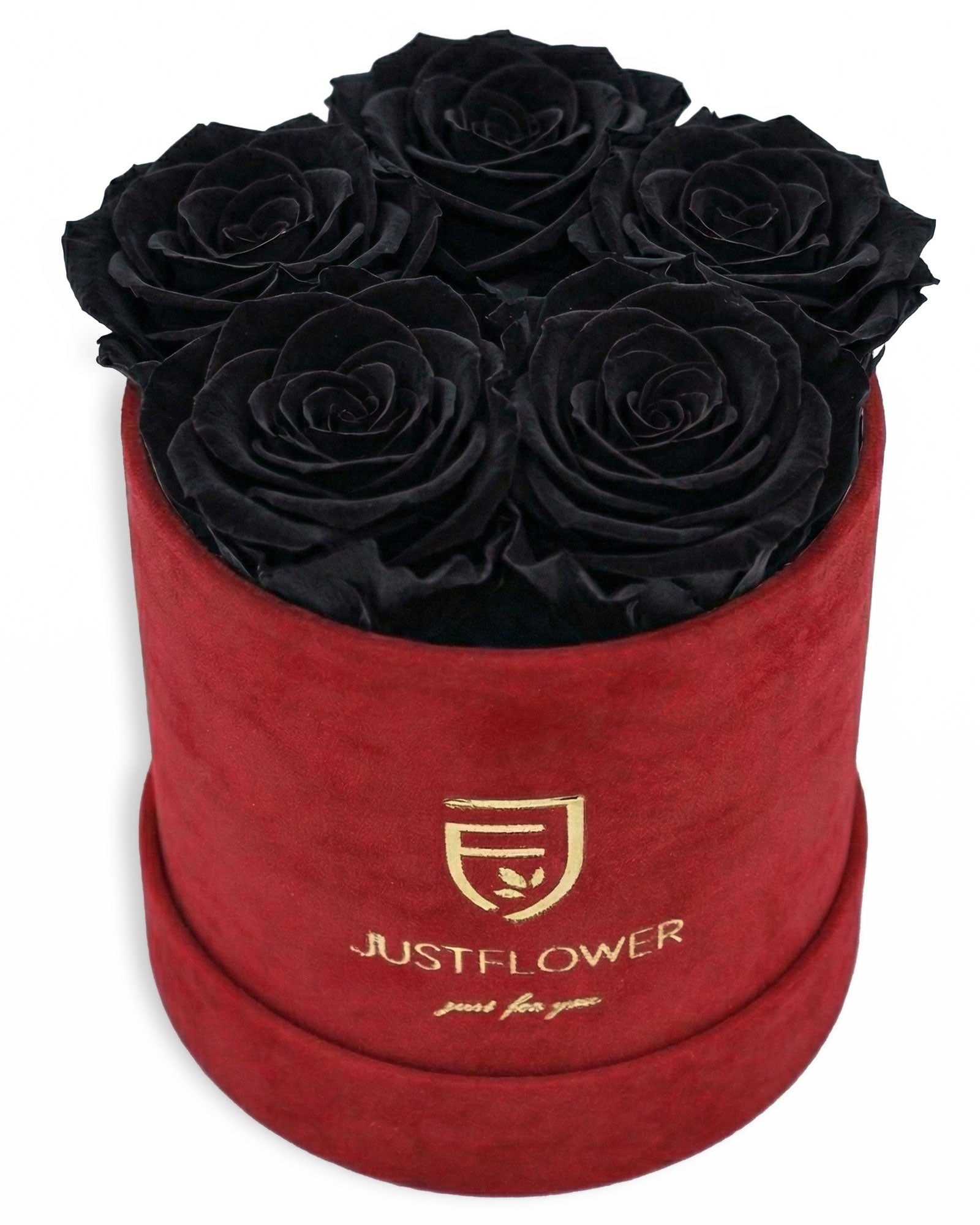 Rosenbox Rund Small Rot Velvet (12x12 cm) mit schwarzen Infinity Rosen – moderner Kontrast mit stilvollem Design