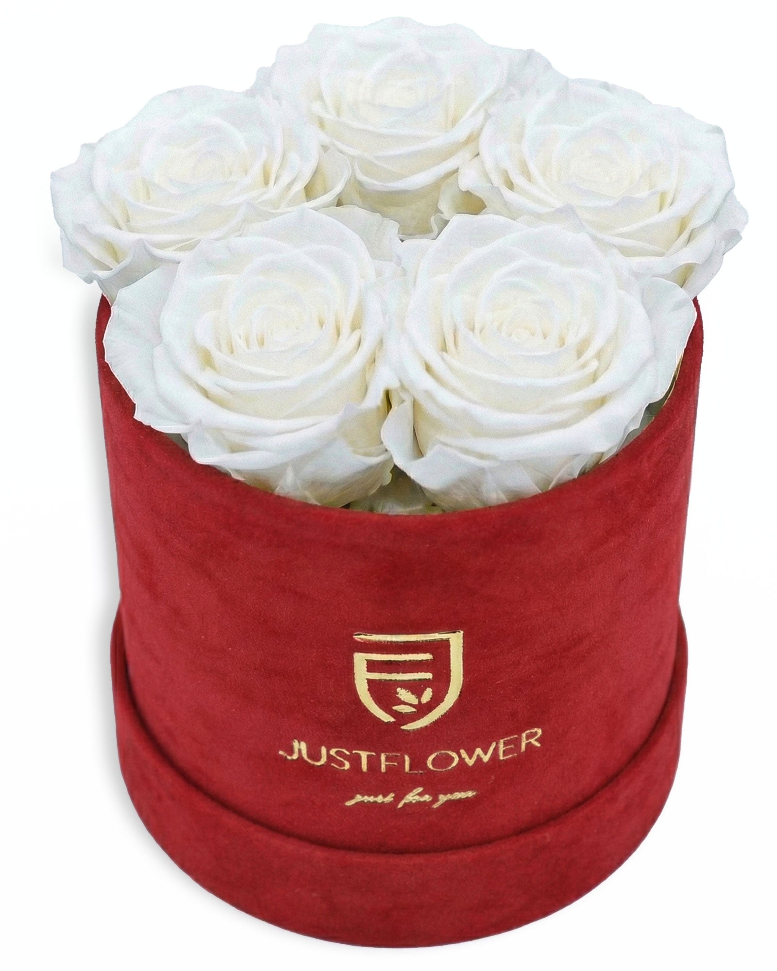 Rosenbox Rund Small Rot Velvet (12x12 cm) mit weissen Infinity Rosen – klassische und elegante Rosenbox