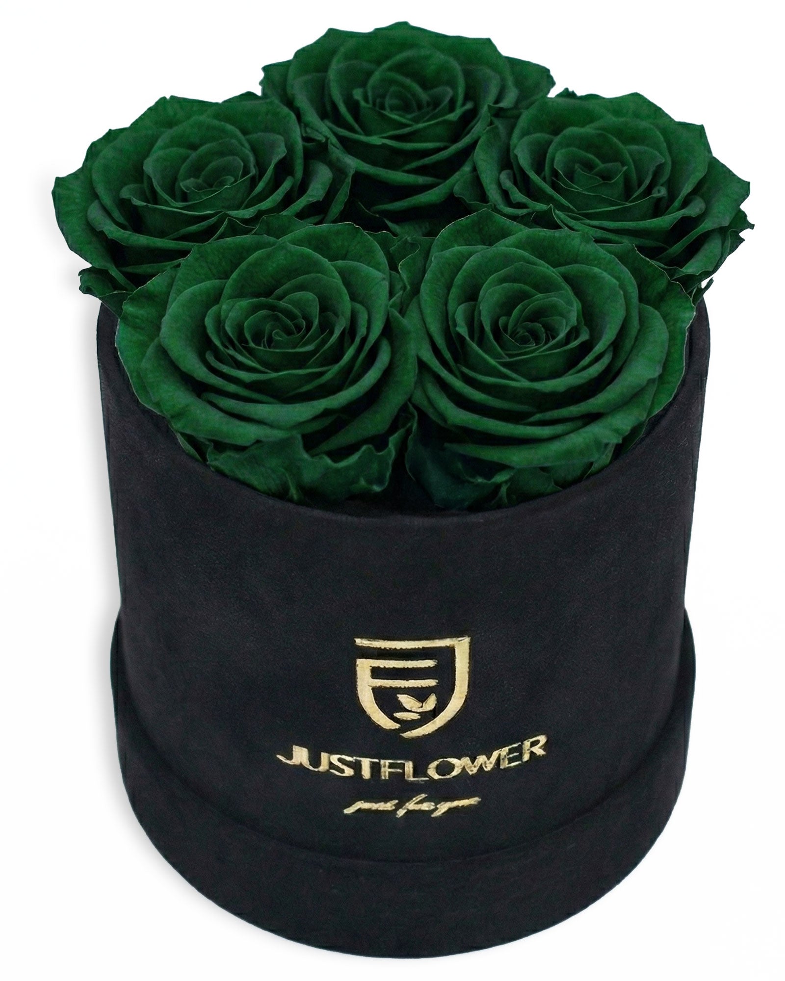 Rosenbox Rund Small Schwarz Velvet (12x12 cm) mit grünen Infinity Rosen – aussergewöhnliche und moderne Geschenkidee