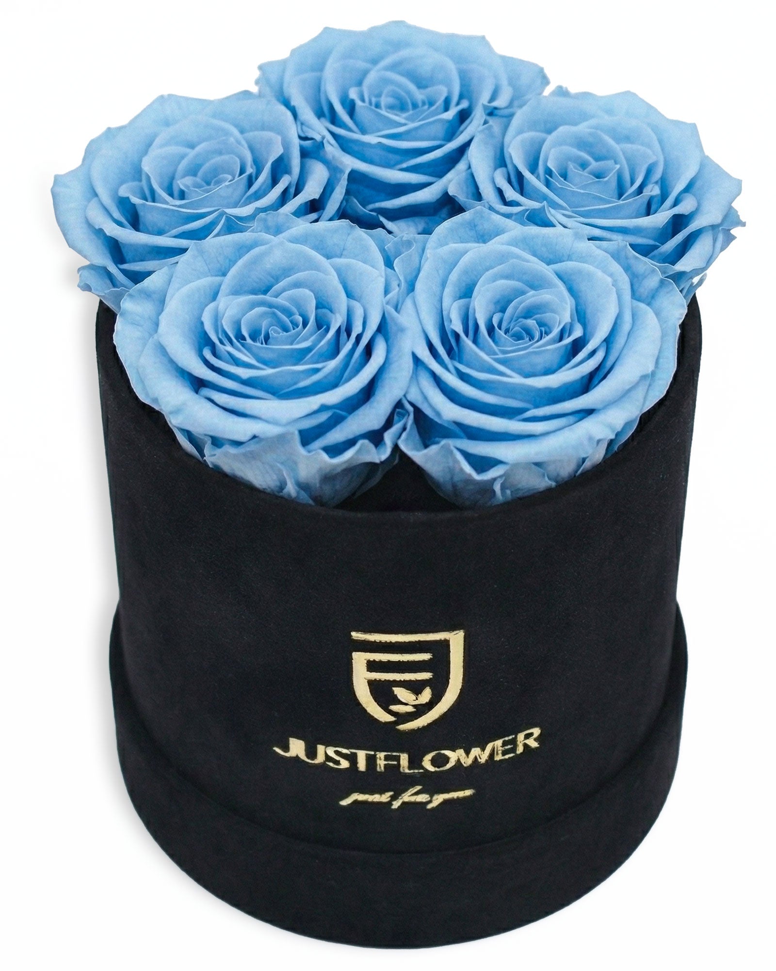 Rosenbox Rund Small Schwarz Velvet (12x12 cm) mit hellblauen Infinity Rosen – frische und moderne Rosenbox
