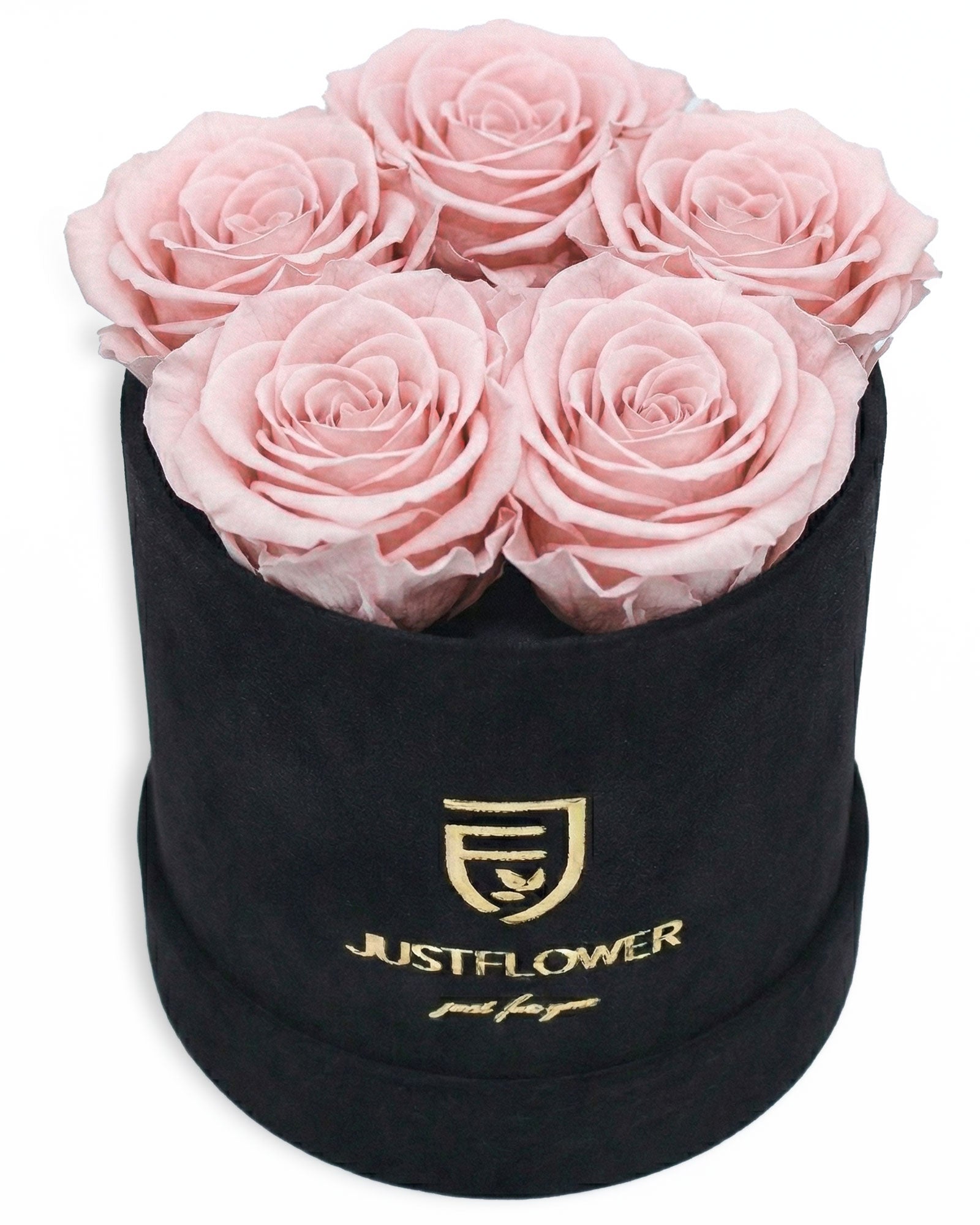 Rosenbox Rund Small Schwarz Velvet (12x12 cm) mit hellrosa Infinity Rosen – sanfte und elegante Geschenkidee