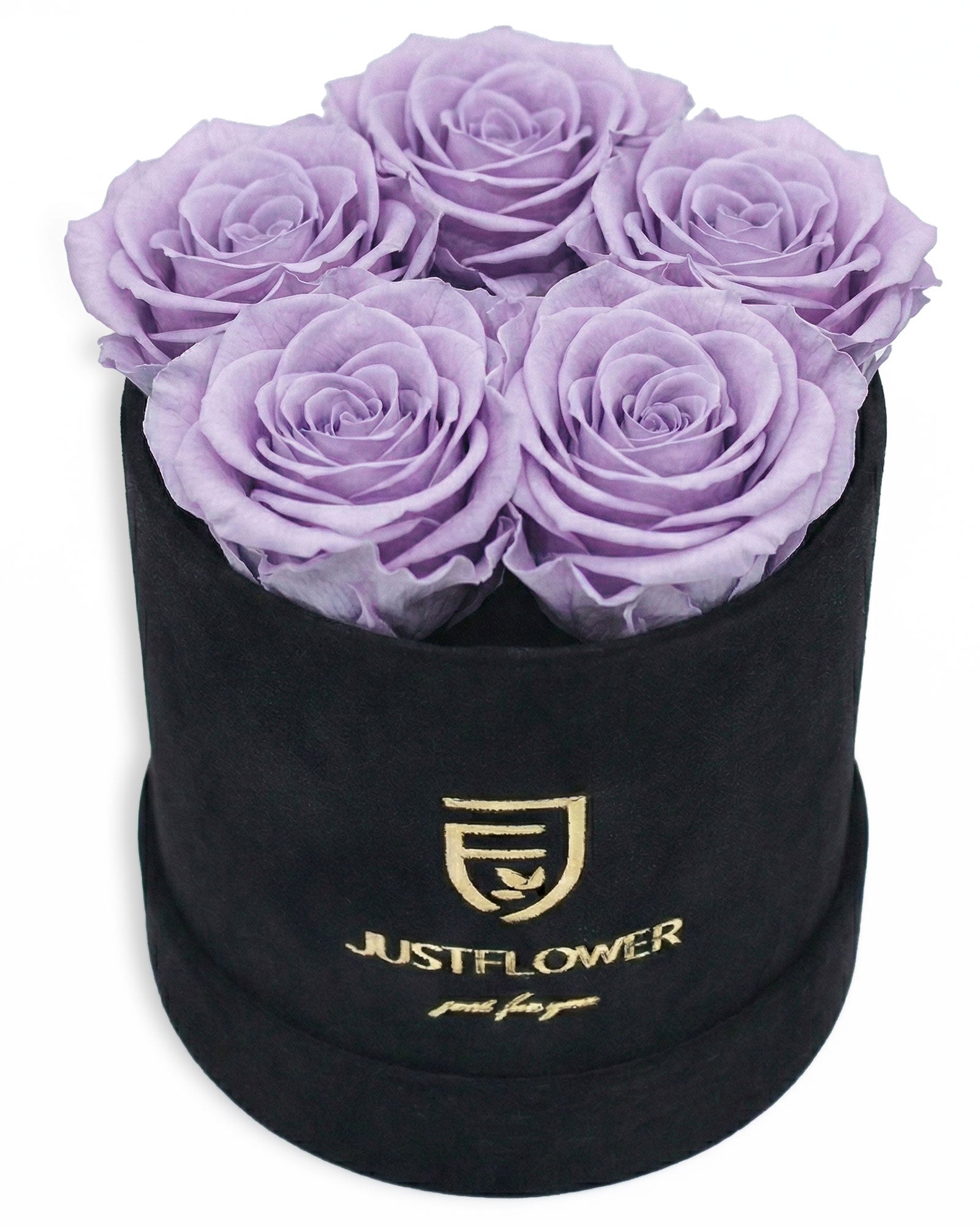 Rosenbox Rund Small Schwarz Velvet (12x12 cm) mit lila Infinity Rosen – auffällige und stilvolle Geschenkbox