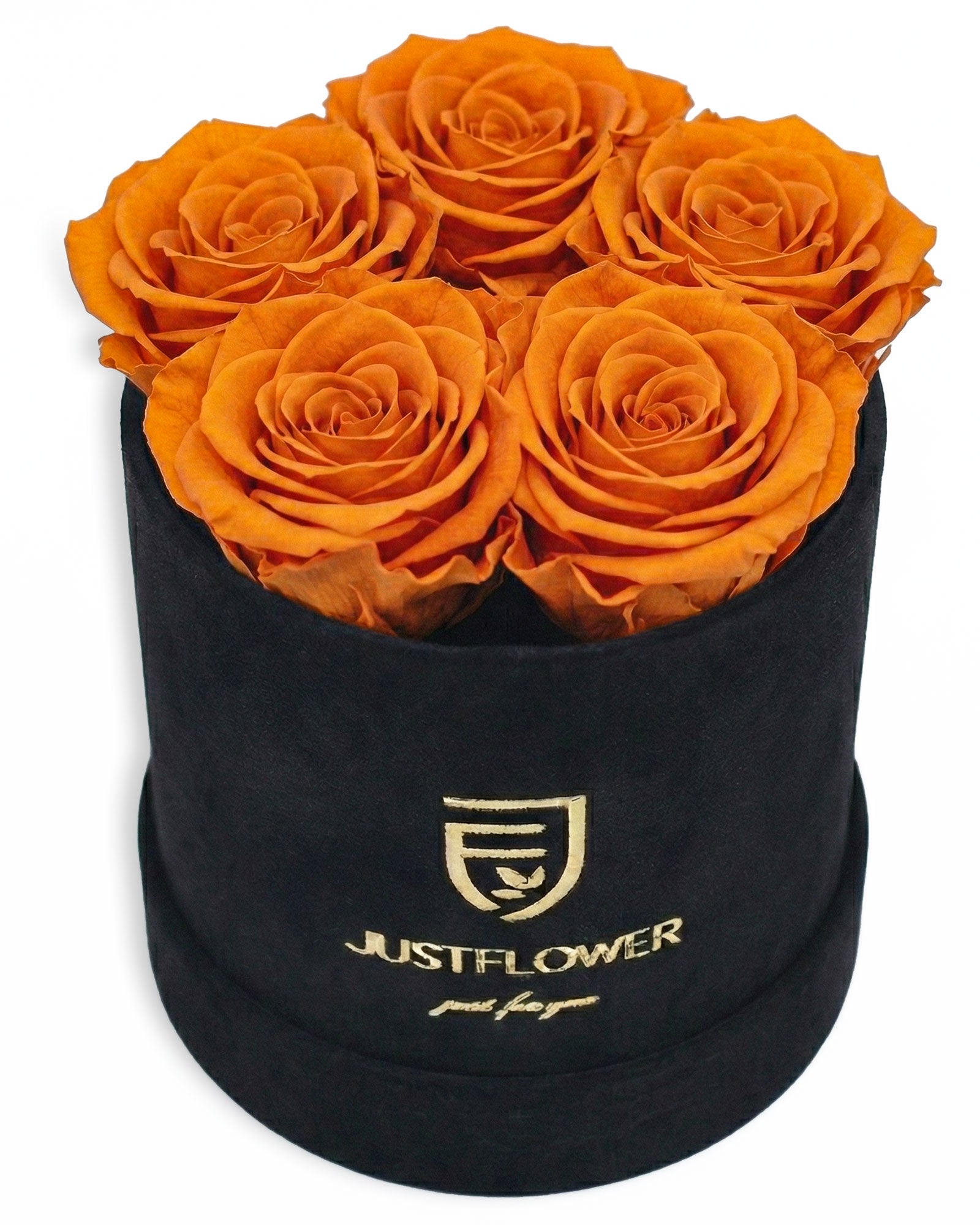Rosenbox Rund Small Schwarz Velvet (12x12 cm) mit orangefarbenen Infinity Rosen – lebendige und auffällige Rosenbox