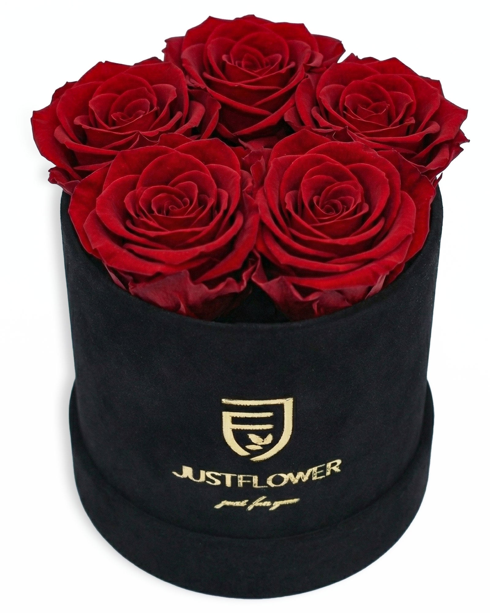 Rosenbox Rund Small Schwarz Velvet (12x12 cm) mit roten Infinity Rosen – stilvolle und kontrastreiche Geschenkidee