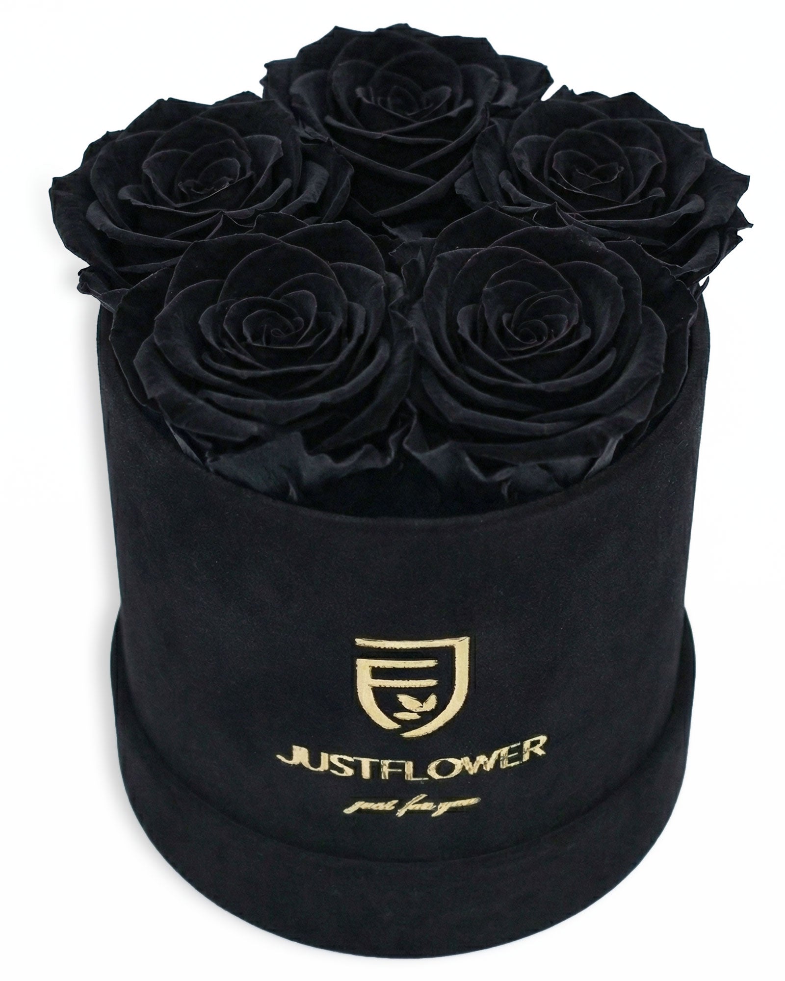 Rosenbox Rund Small in Schwarz Velvet (12x12 cm) mit ca. 5–6 Infinity Rosen in Schwarz – elegante Geschenkbox von JustFlower Schweiz