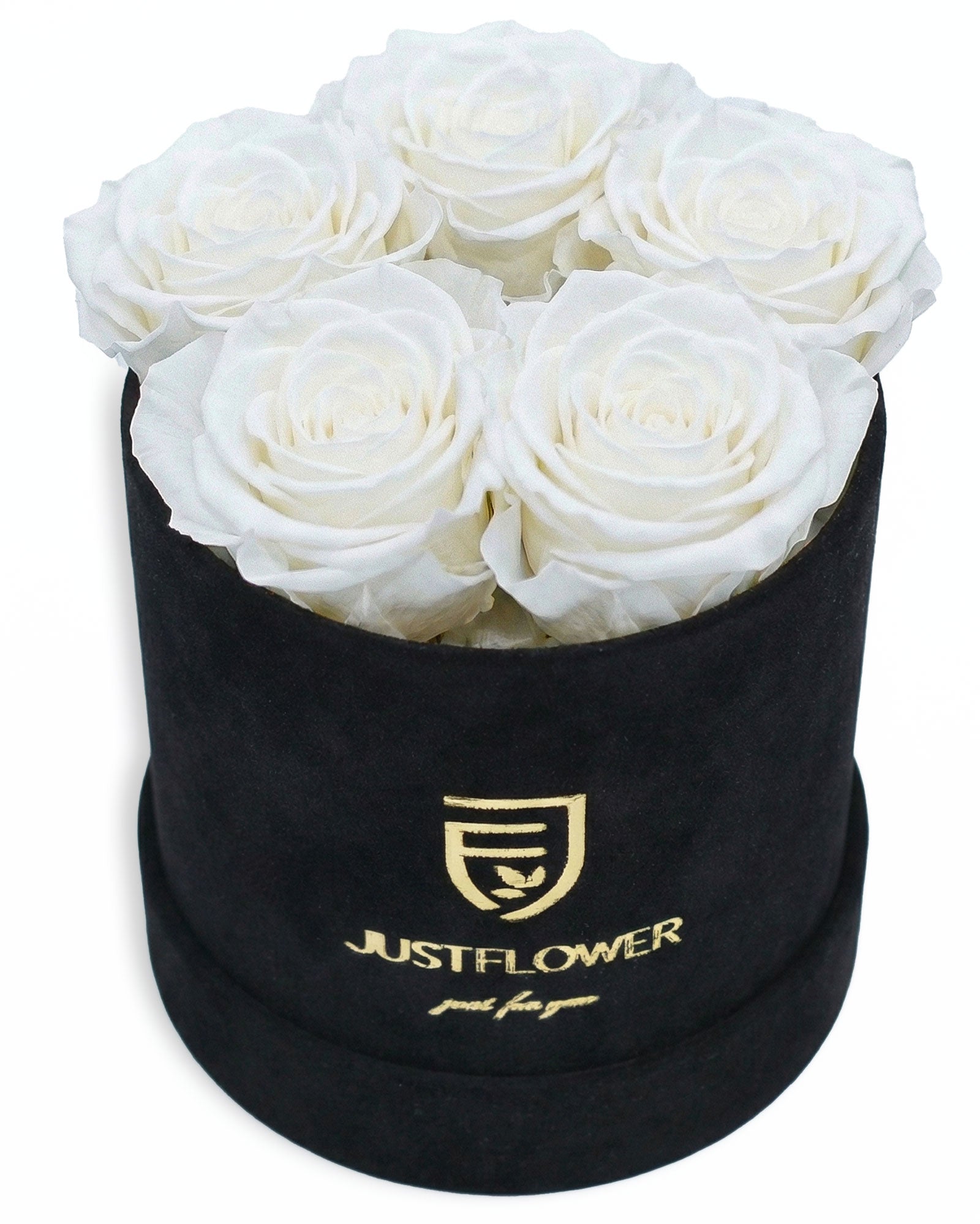 Rosenbox Rund Small Schwarz Velvet (12x12 cm) mit weissen Infinity Rosen – moderne und elegante Rosenbox