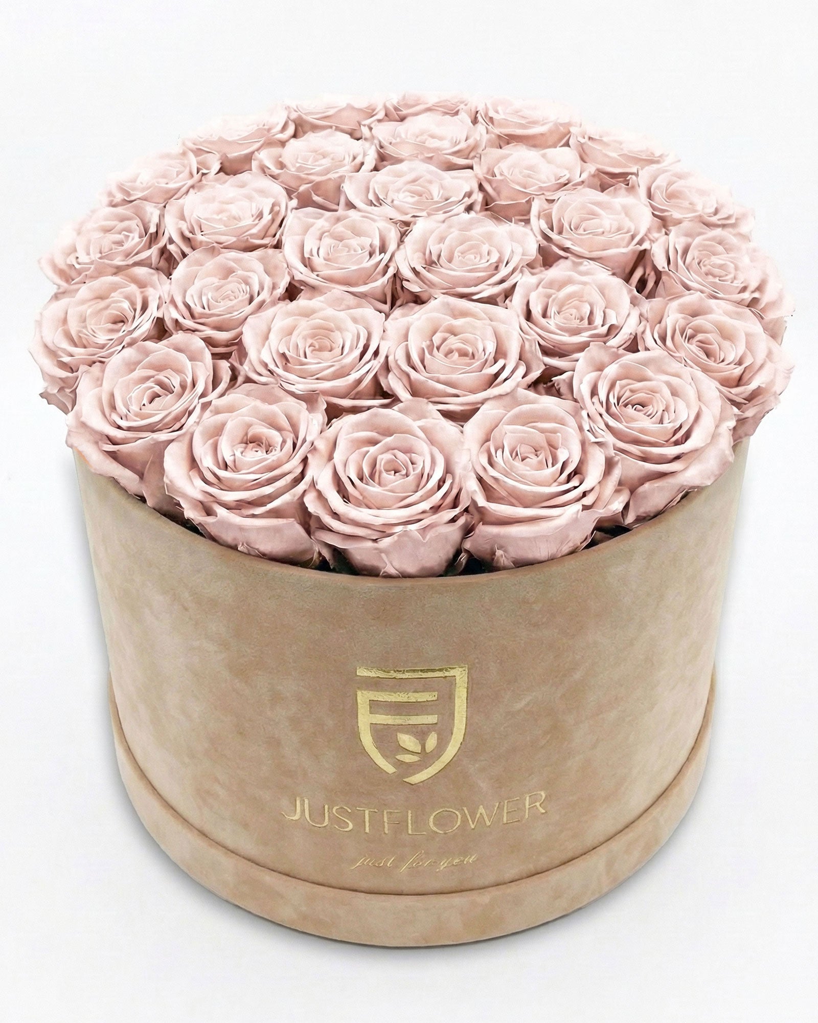 Rosenbox Rund XL Beige mit altrosa Rosen – JustFlower