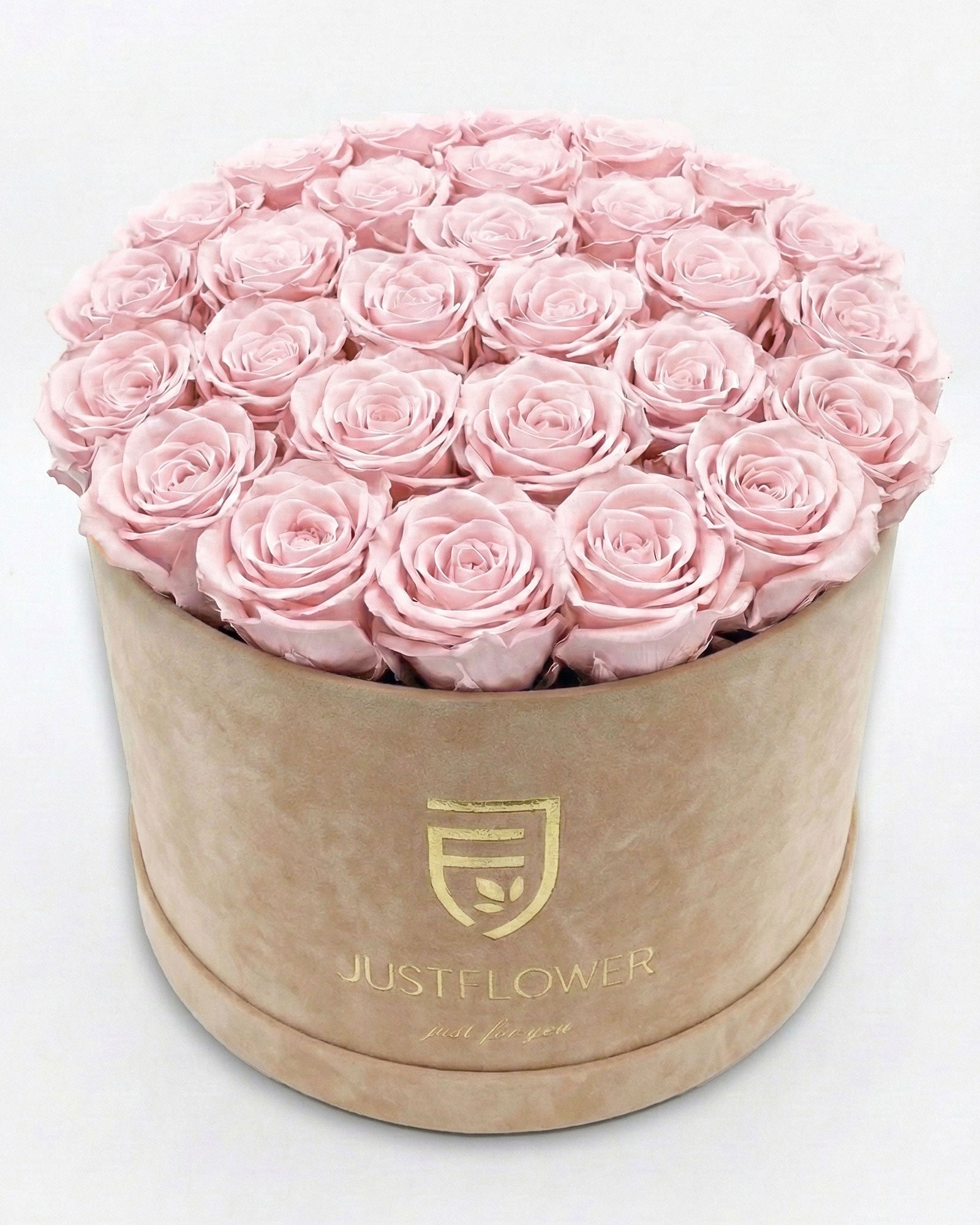 Rosenbox Rund XL Beige mit hellrosa Rosen – JustFlower
