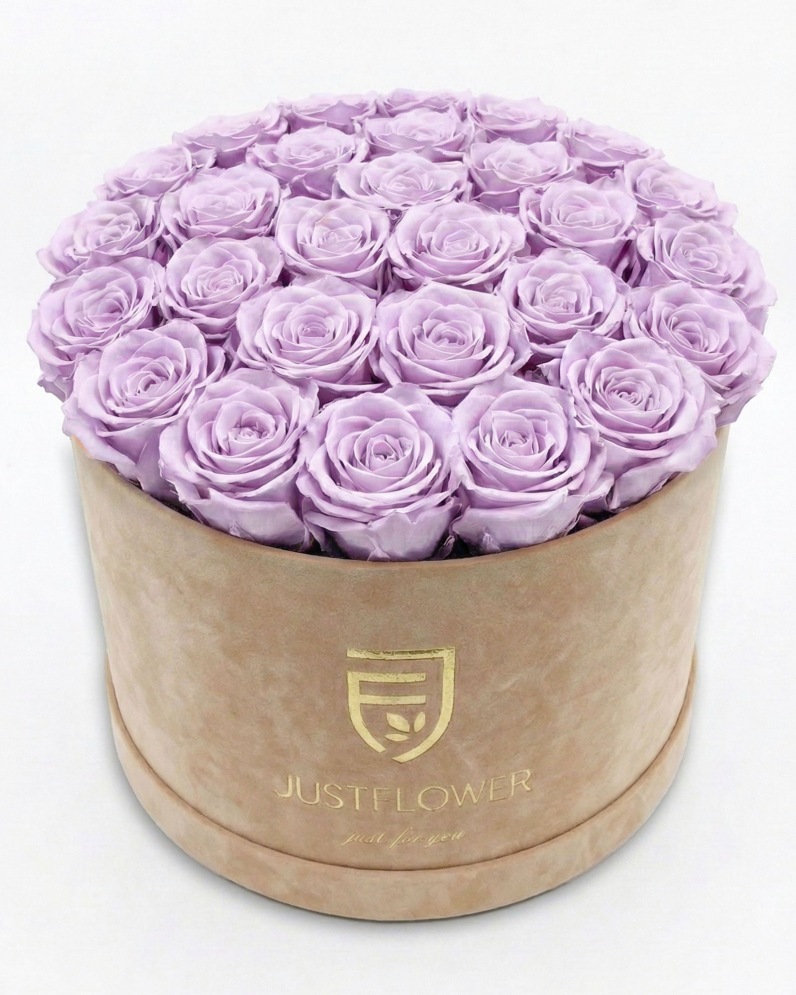 Rosenbox Rund XL Beige mit lila Rosen – JustFlower