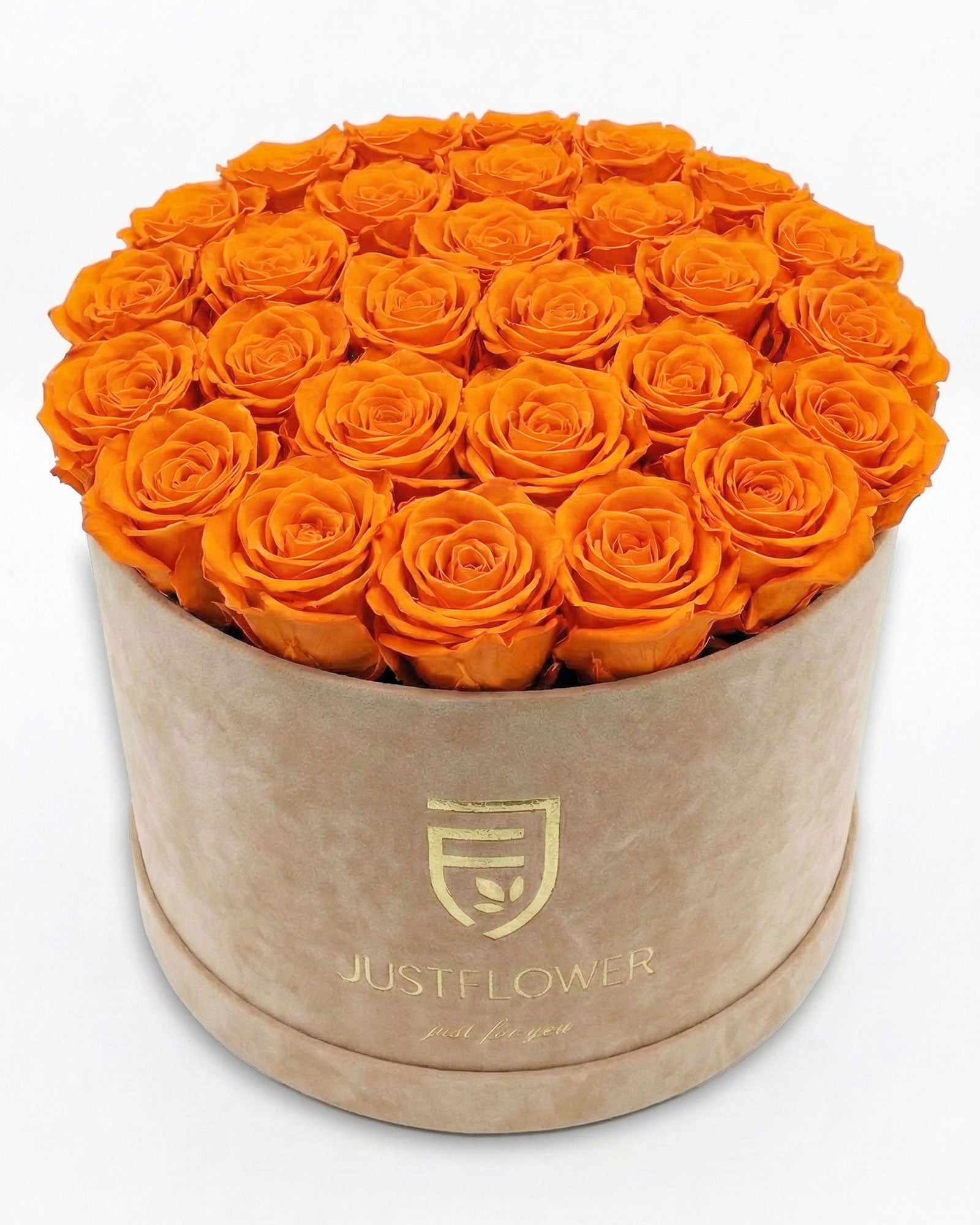 Rosenbox Rund XL Beige mit orangefarbenen Rosen – JustFlower