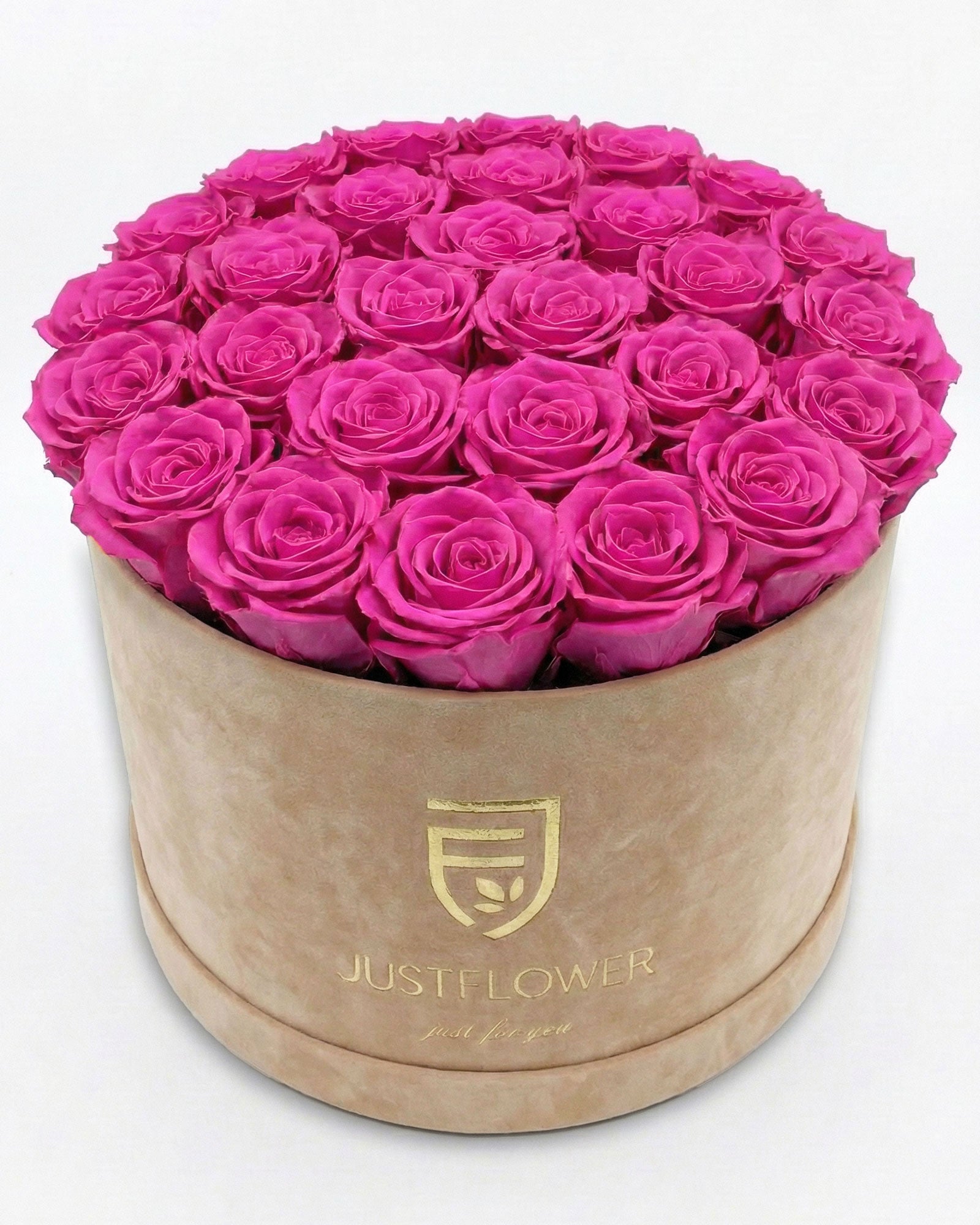Rosenbox Rund XL Beige mit rosa Rosen – JustFlower